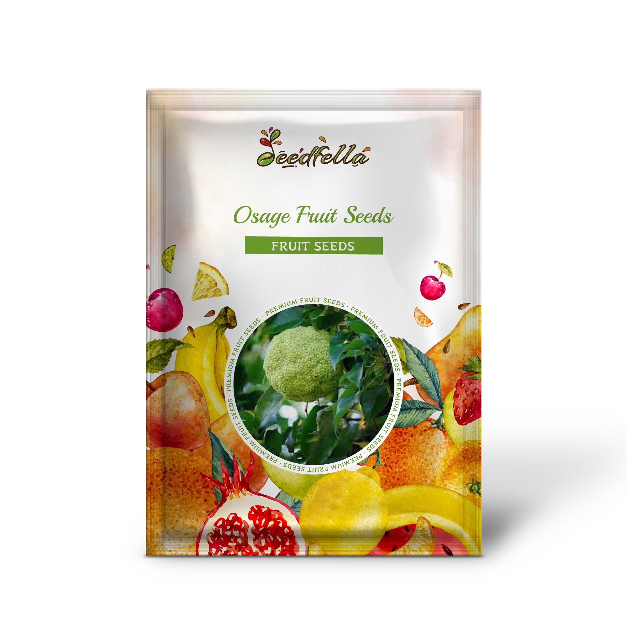 Grow Osage Orange Trees at home with these easy-to-plant seeds.