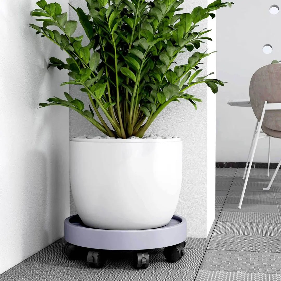 Heavy Duty Self-Watering Plant Pot With Wheels – Floor Standing Indoor & Outdoor Planter Caddy