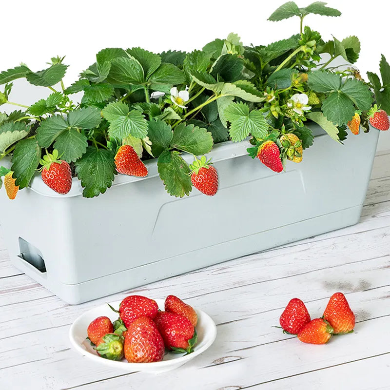 Rectangular Plastic Flower Pots – Durable Garden & Vegetable Planters Tools