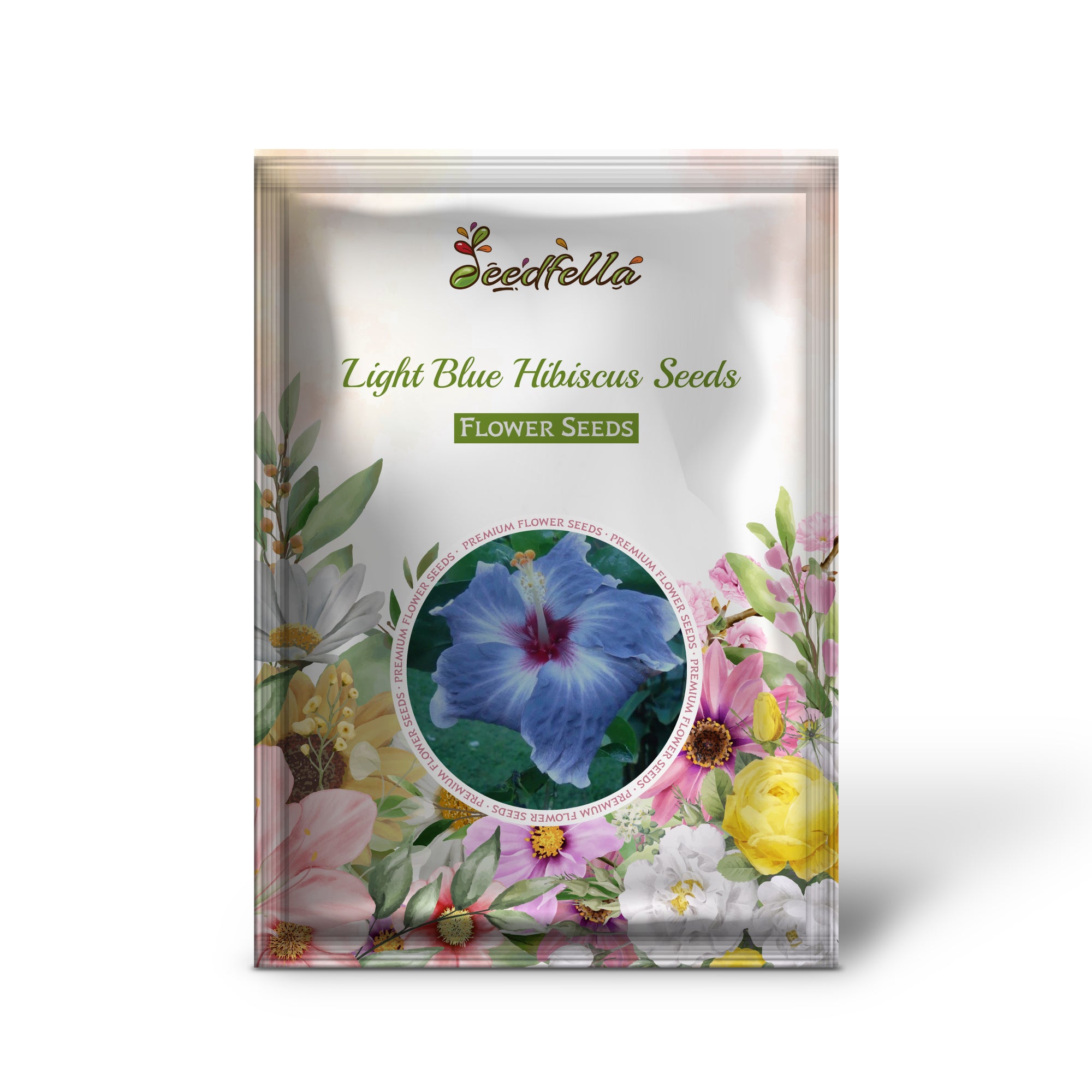 Light blue hibiscus garden seeds for outdoor planting