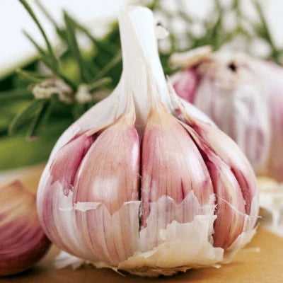 Garlic Vegetable Seeds For Planting: Add Exotic Charm To Your Garden Herb