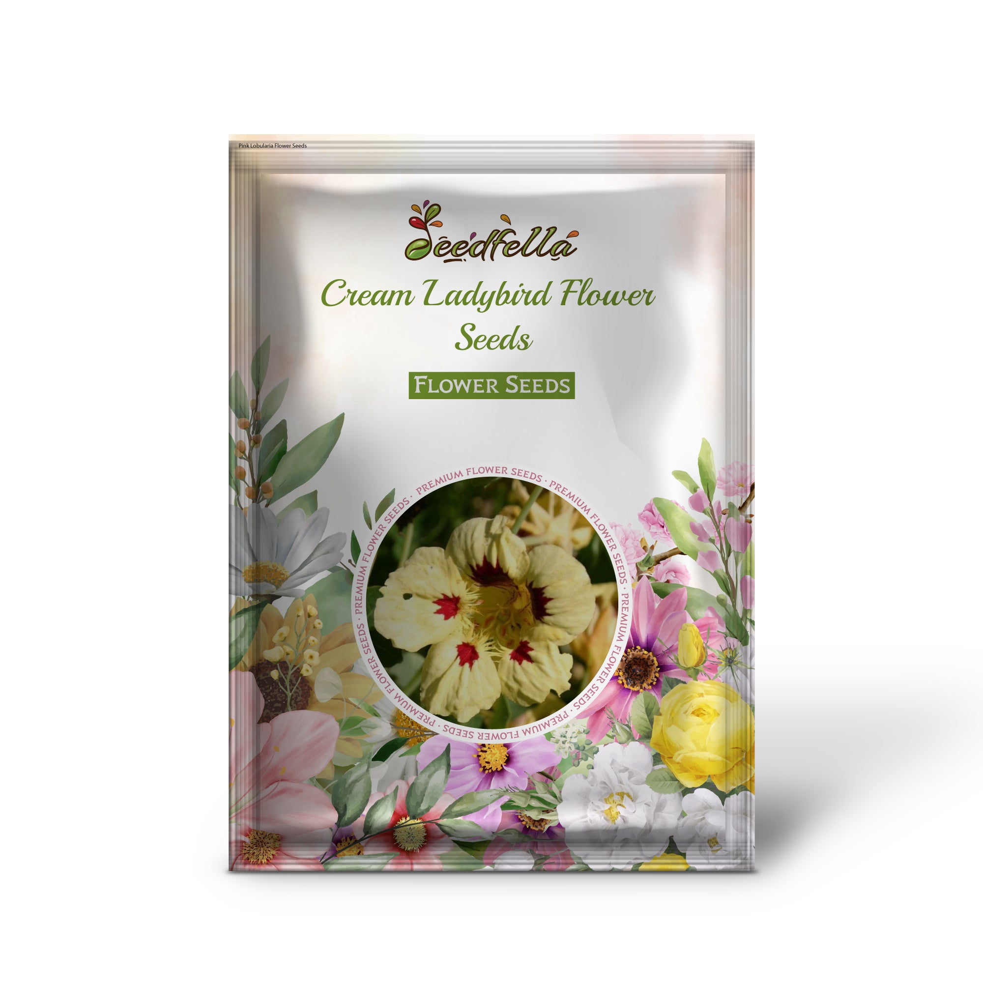 Cream ladybird garden seeds for outdoor planting