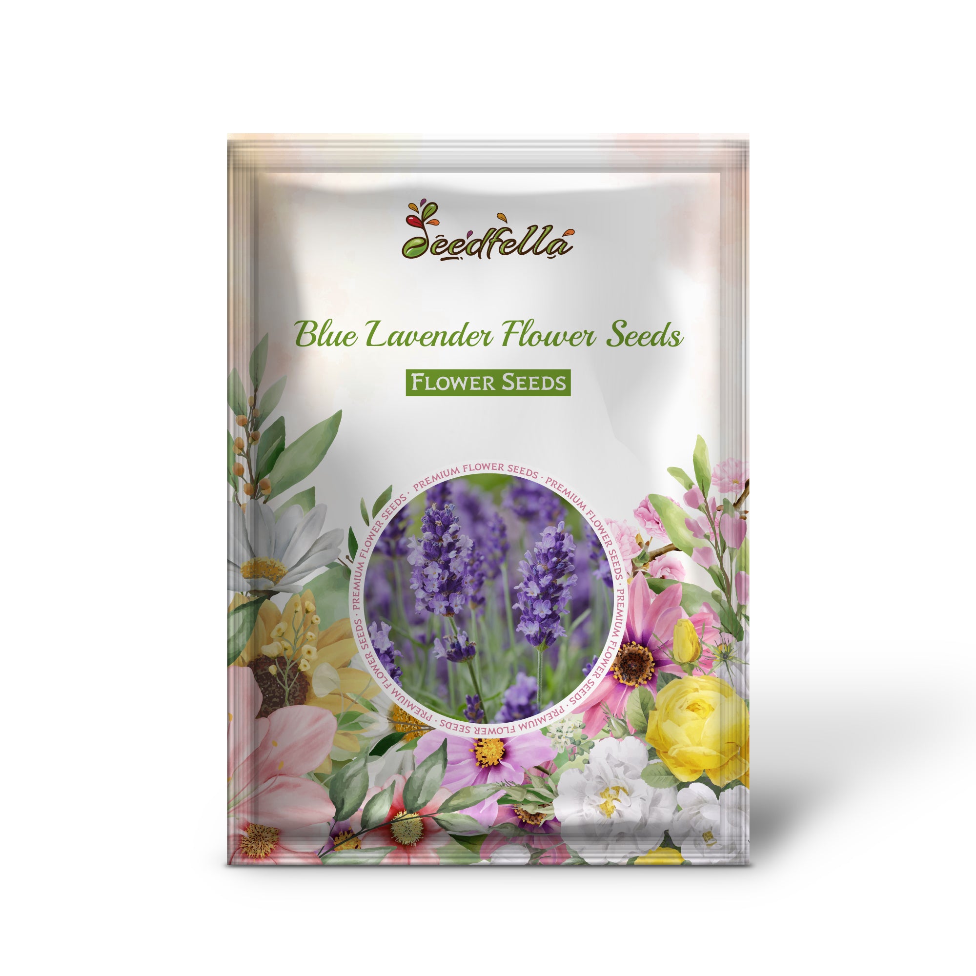 Blue Lavender garden seeds for outdoor planting