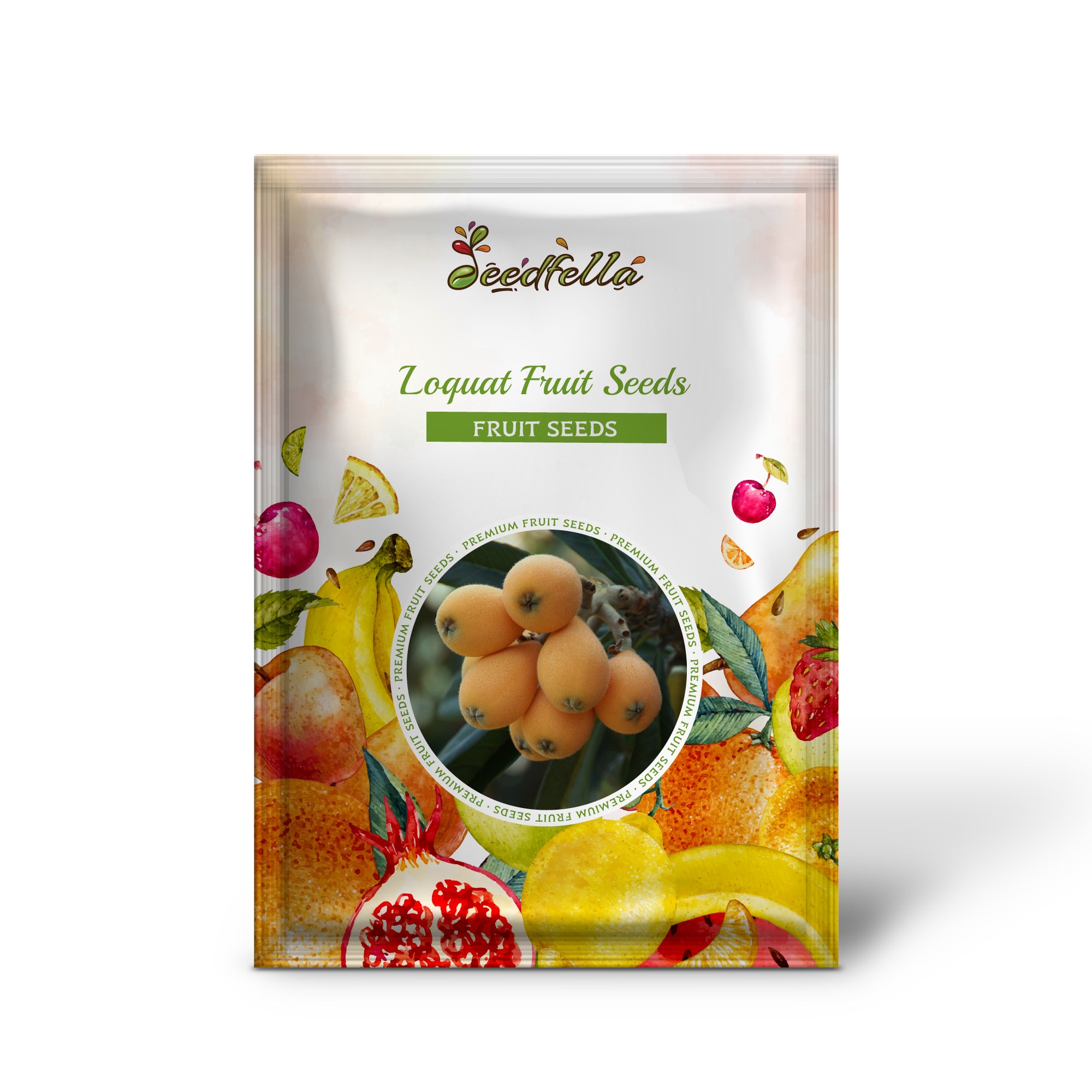 Loquat Seedlings Growing Strong in Garden