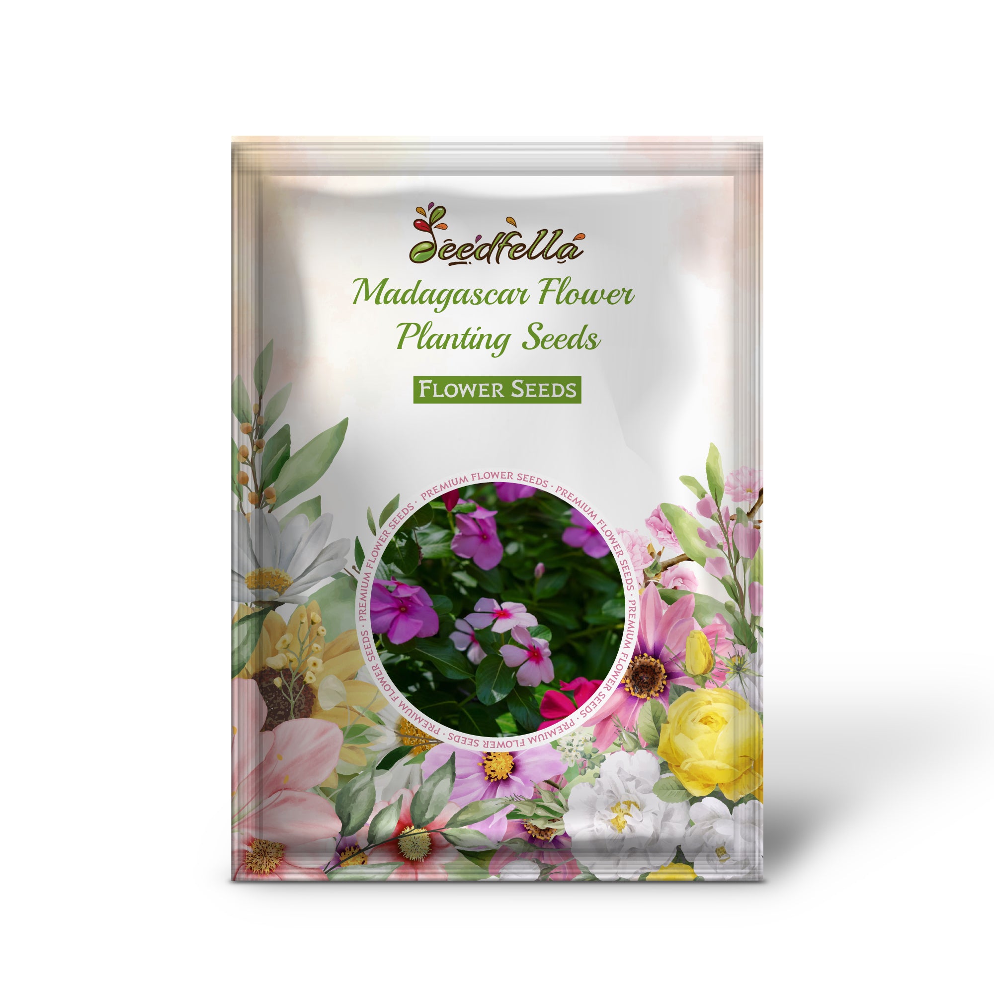 Mixed Madagascar flowers blooming in garden