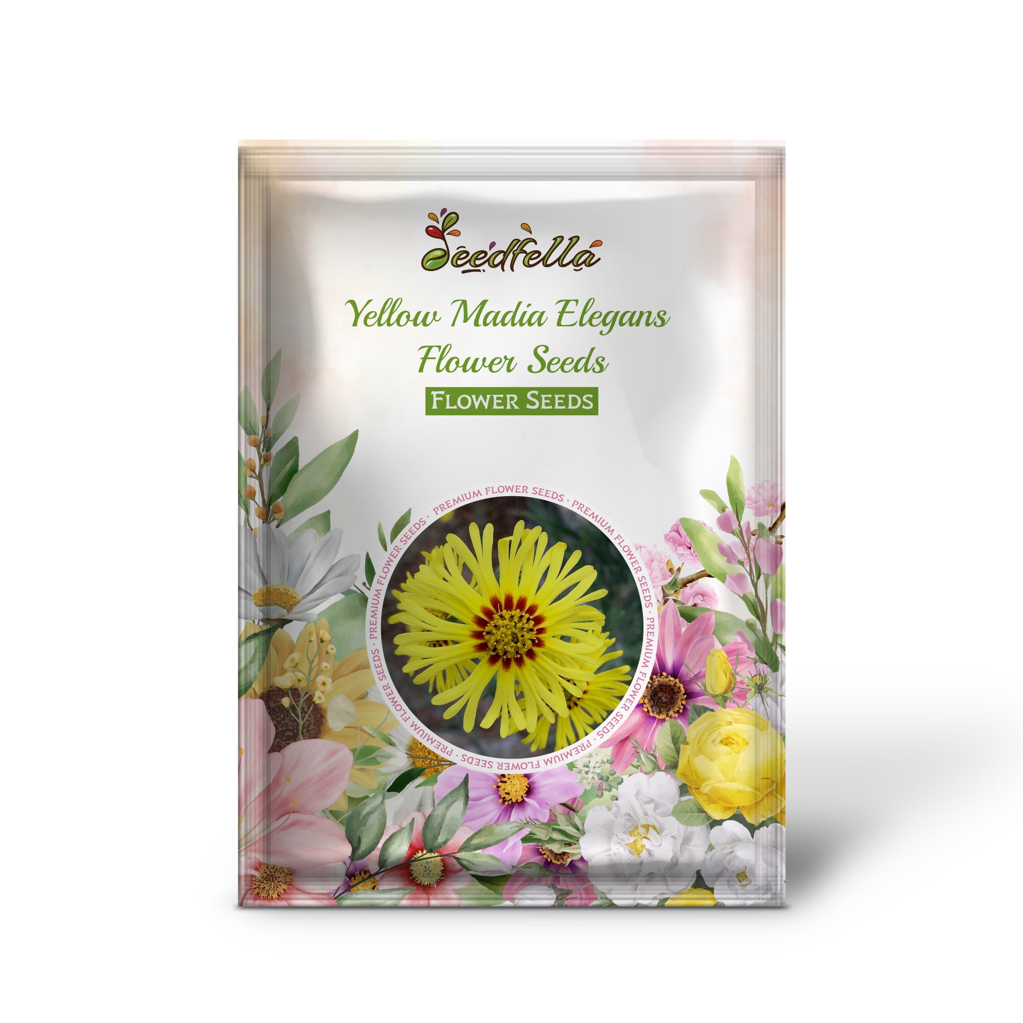 Yellow Madia Elegans garden seeds for outdoor planting