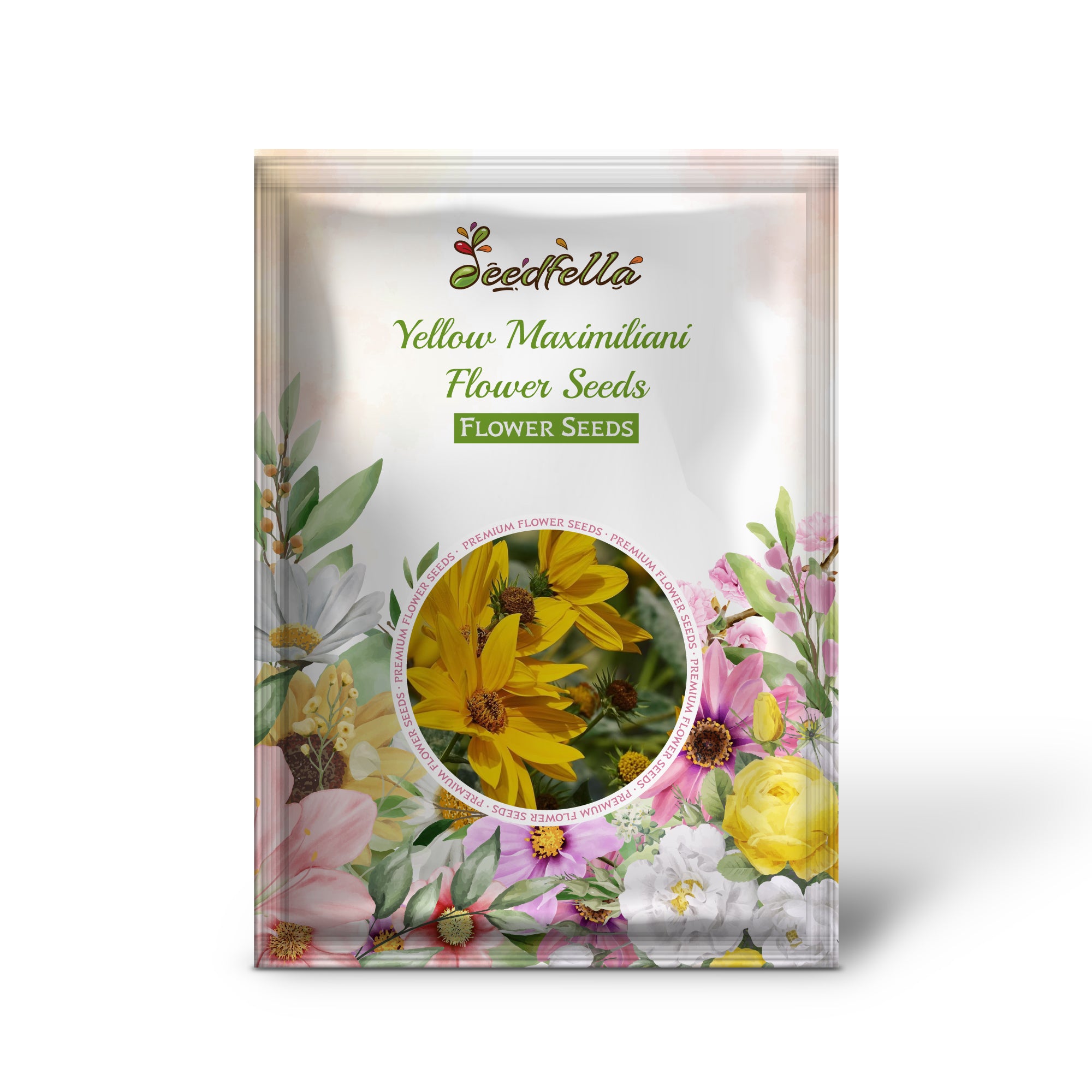 Yellow Maximiliani garden seeds for outdoor planting