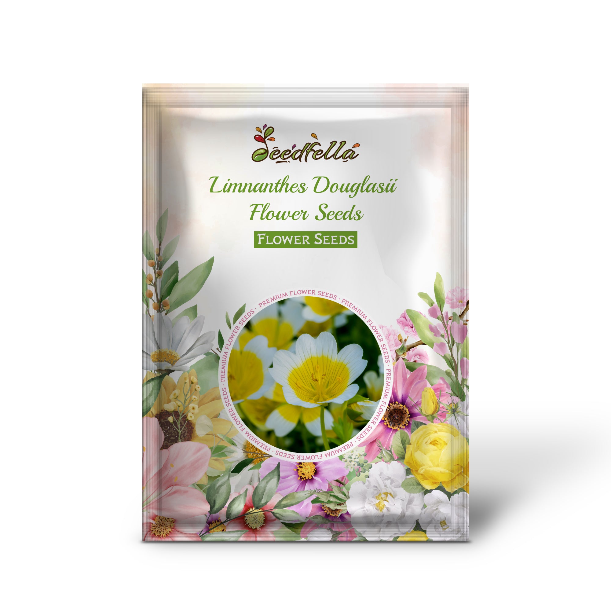 White and Yellow Meadowfoam flowers blooming