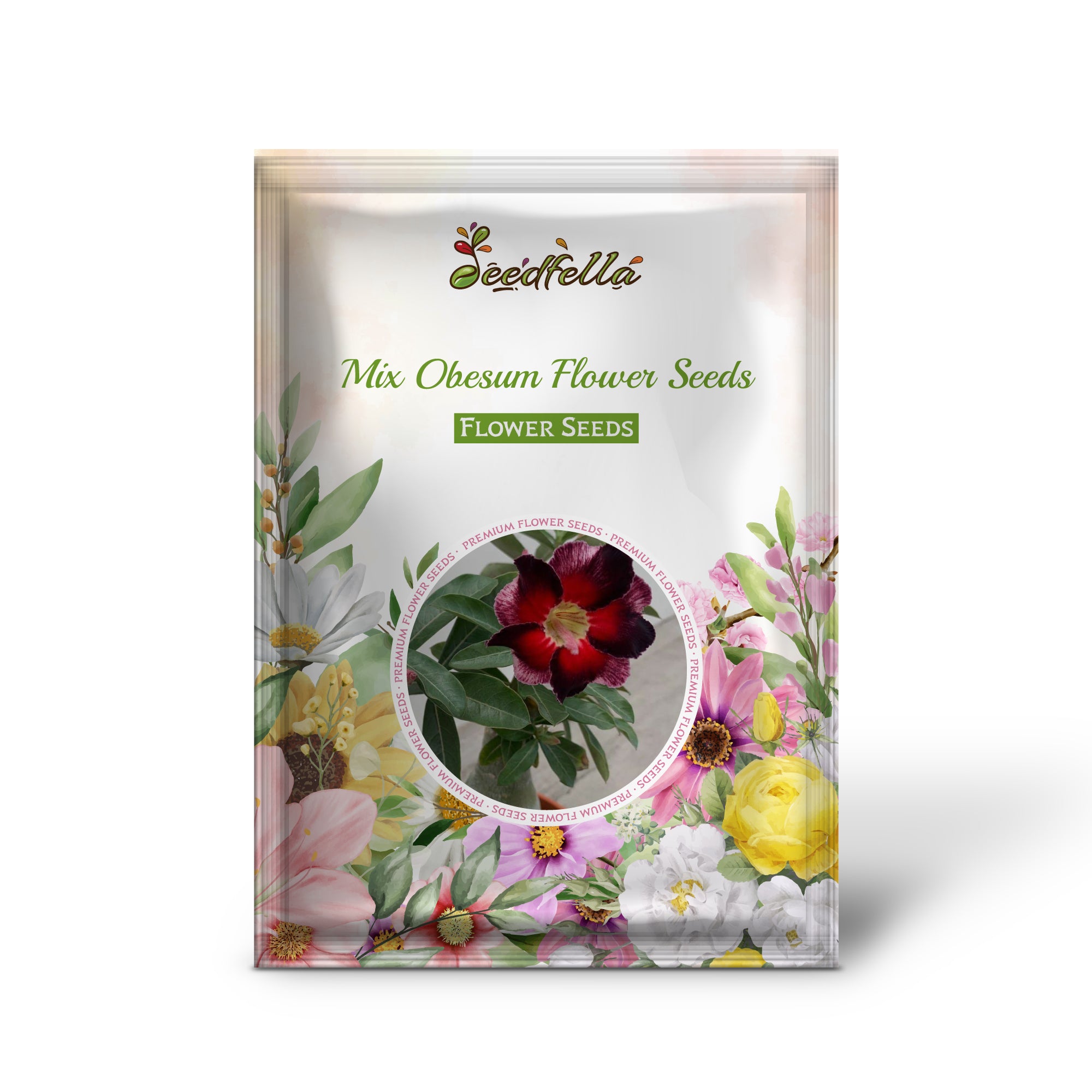 Mixed Desert Rose flowers blooming in garden