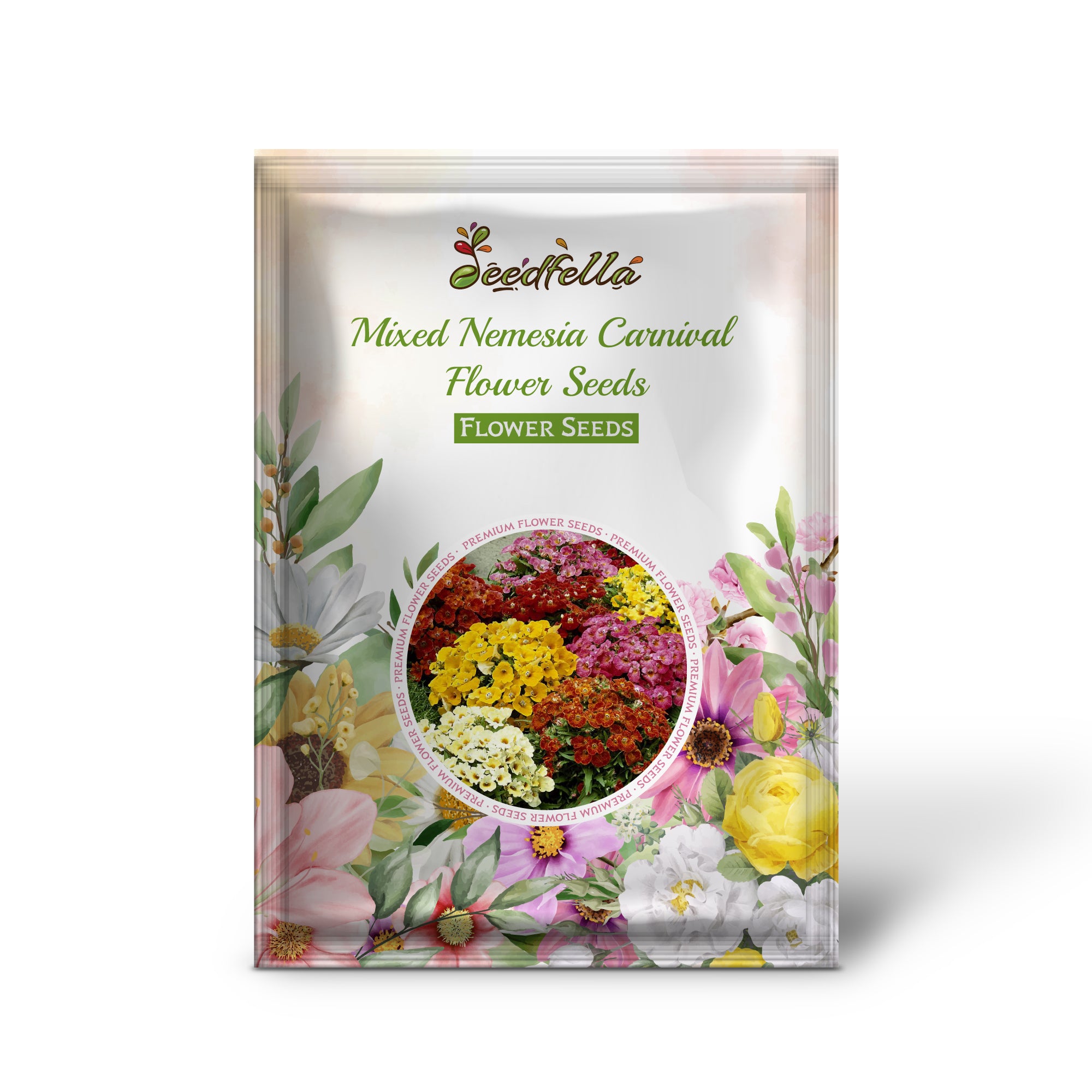 Mixed Nemesia Carnival flowers blooming in garden