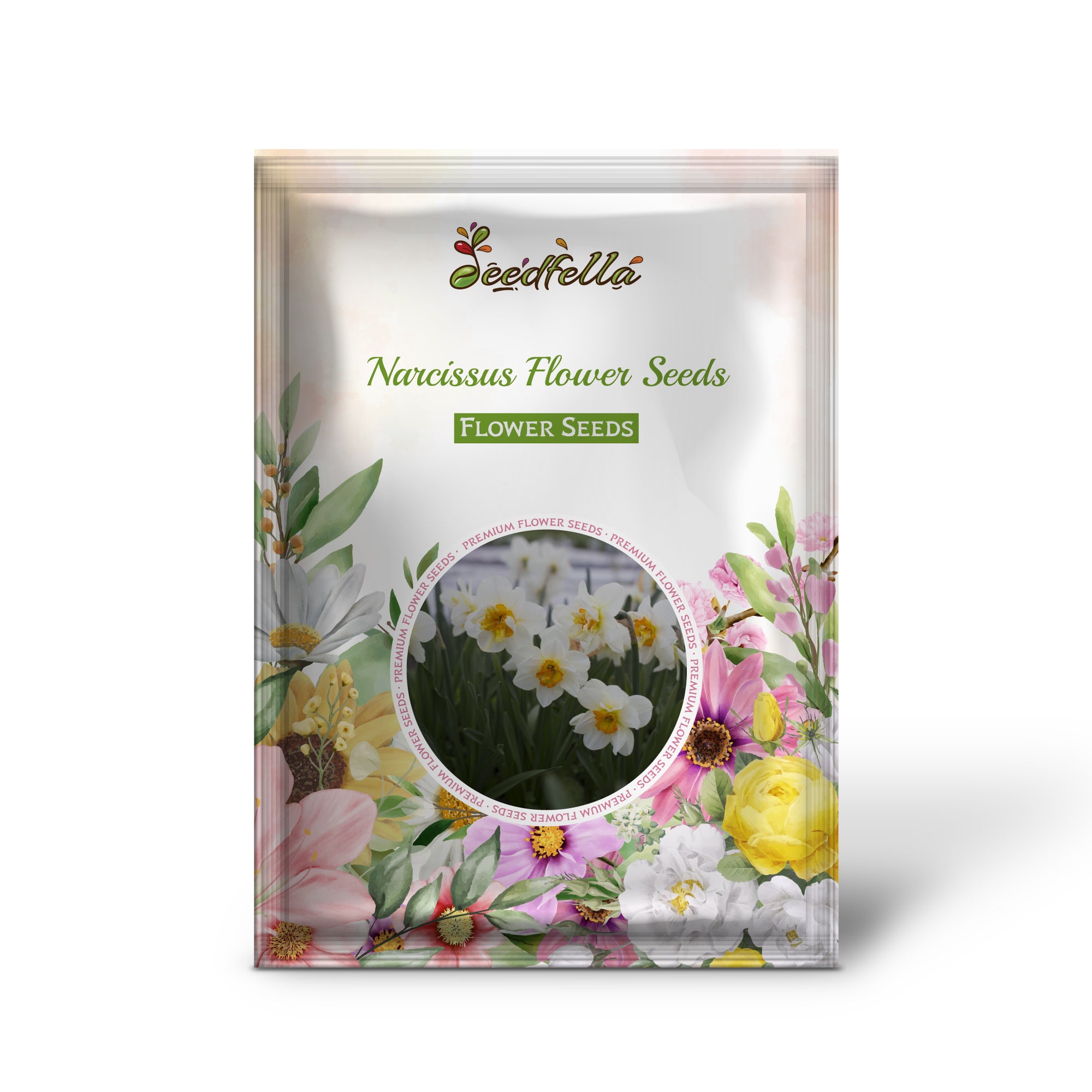 Cream Narcissus garden seeds for outdoor planting