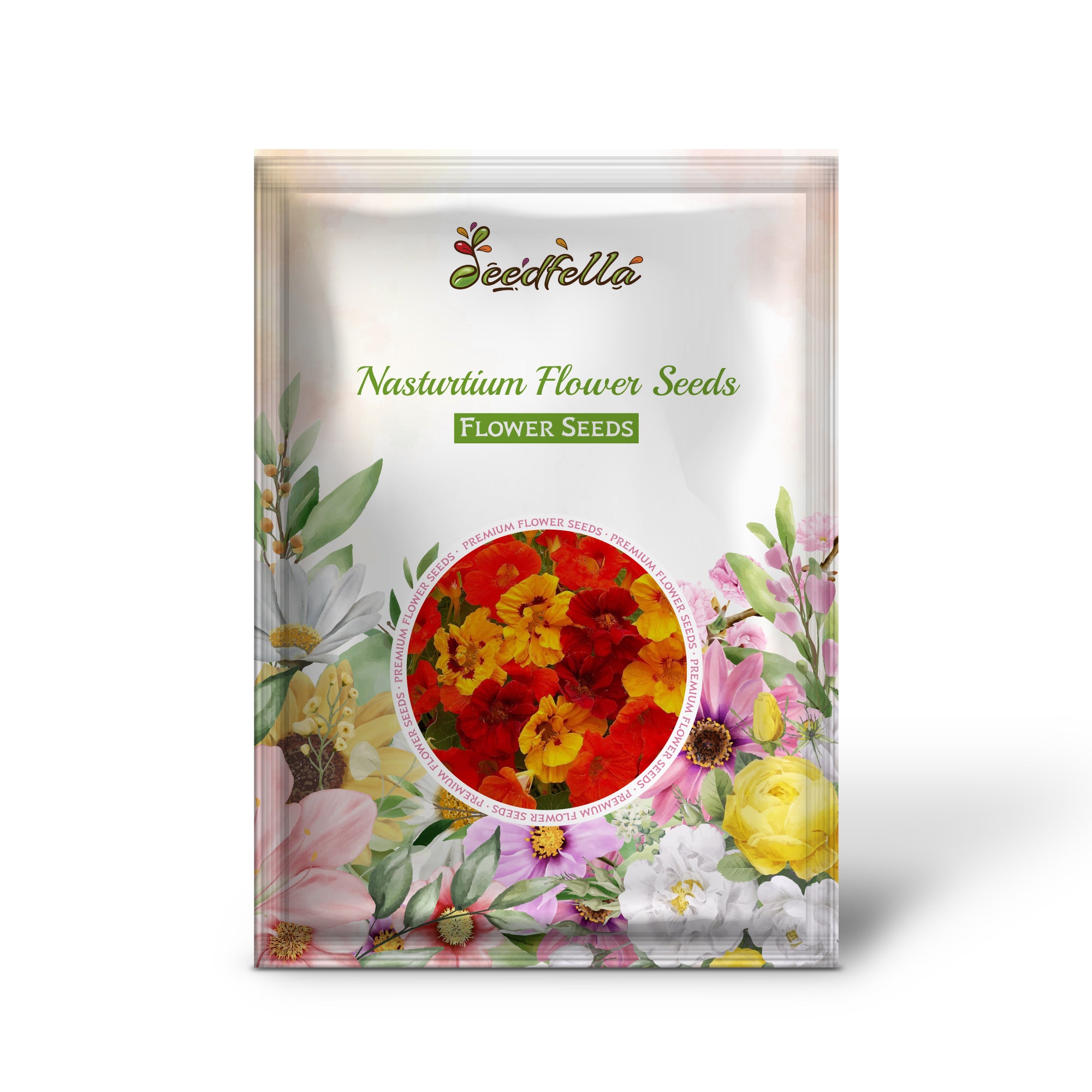 Colorful mixed Nasturtium flowers in full bloom