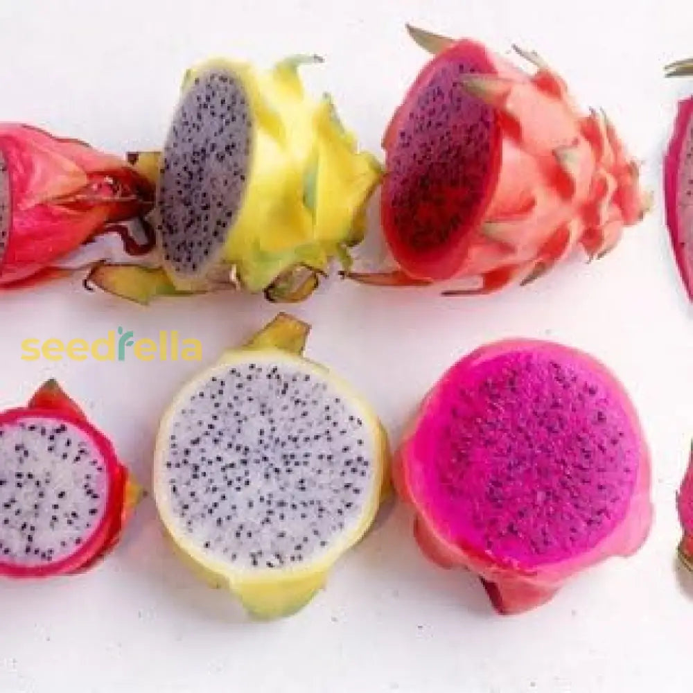 Non-GMO Dragon Fruit Seeds for a colorful and tasty harvest.
