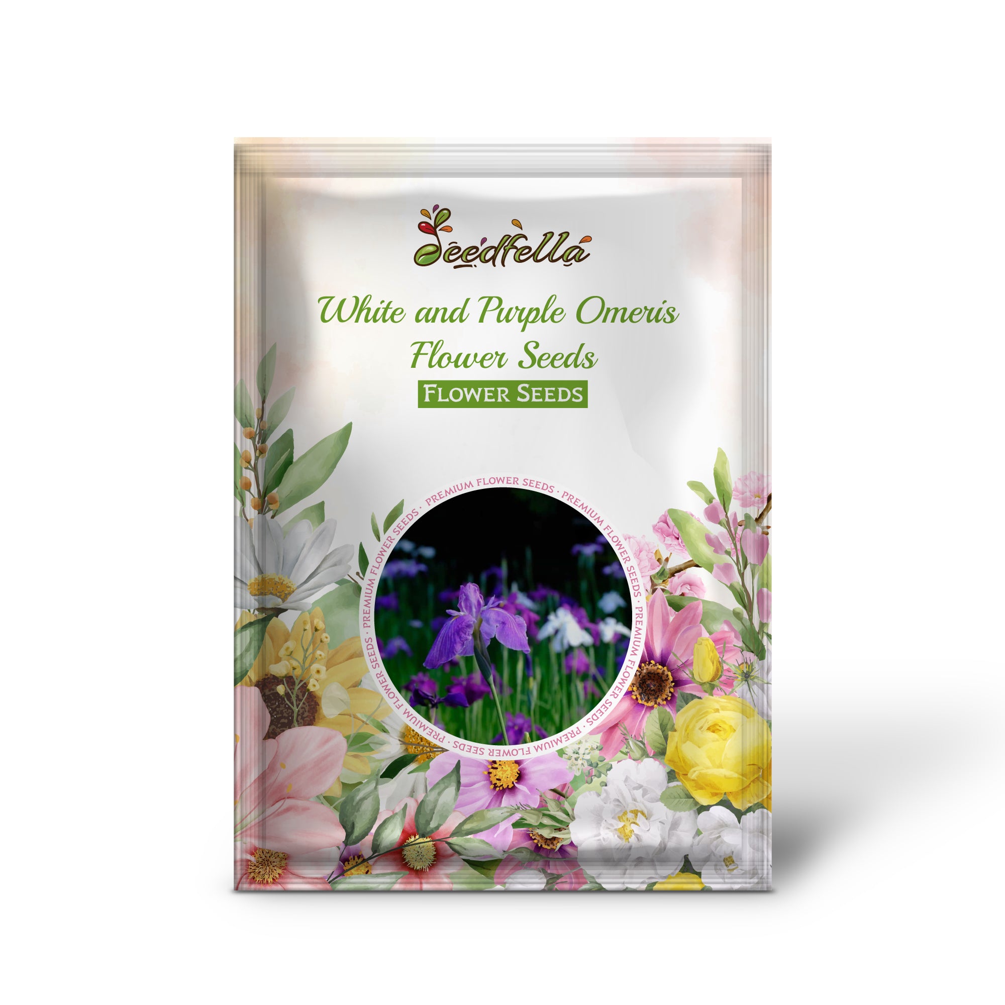 White and Purple Omeris garden seeds for outdoor planting