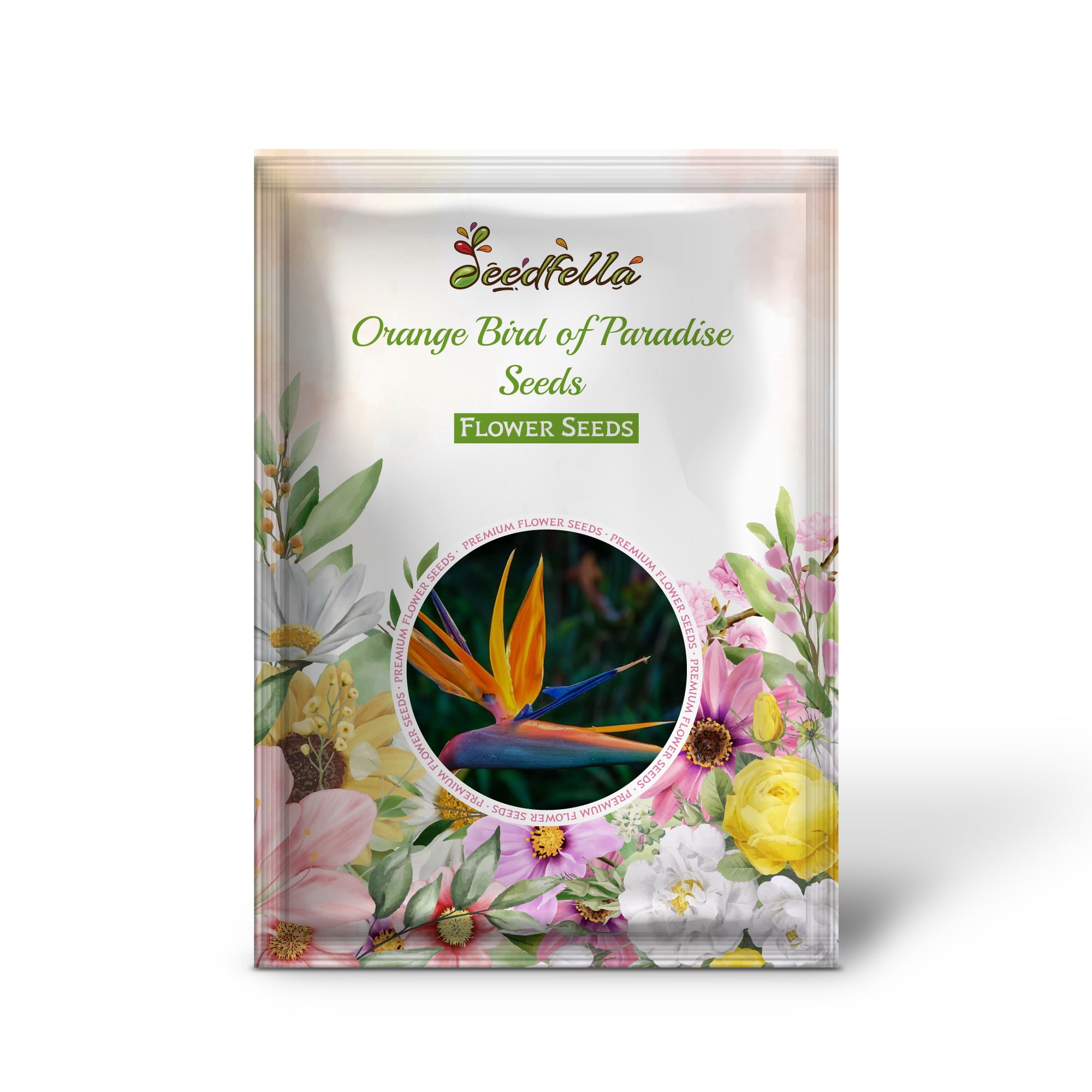 Bird of Paradise orange and blue exotic blooms