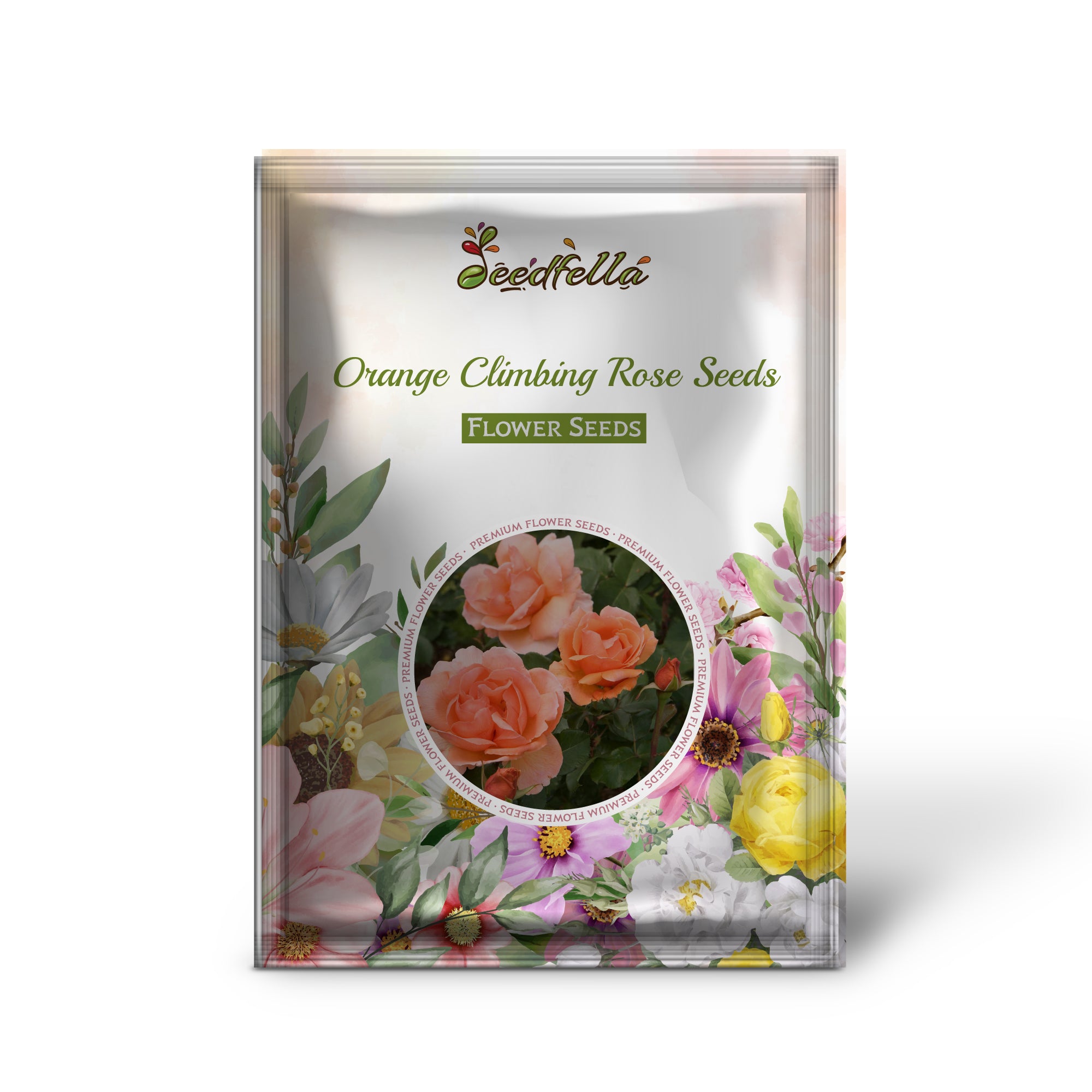 Vibrant orange climbing rose flowers in bloom