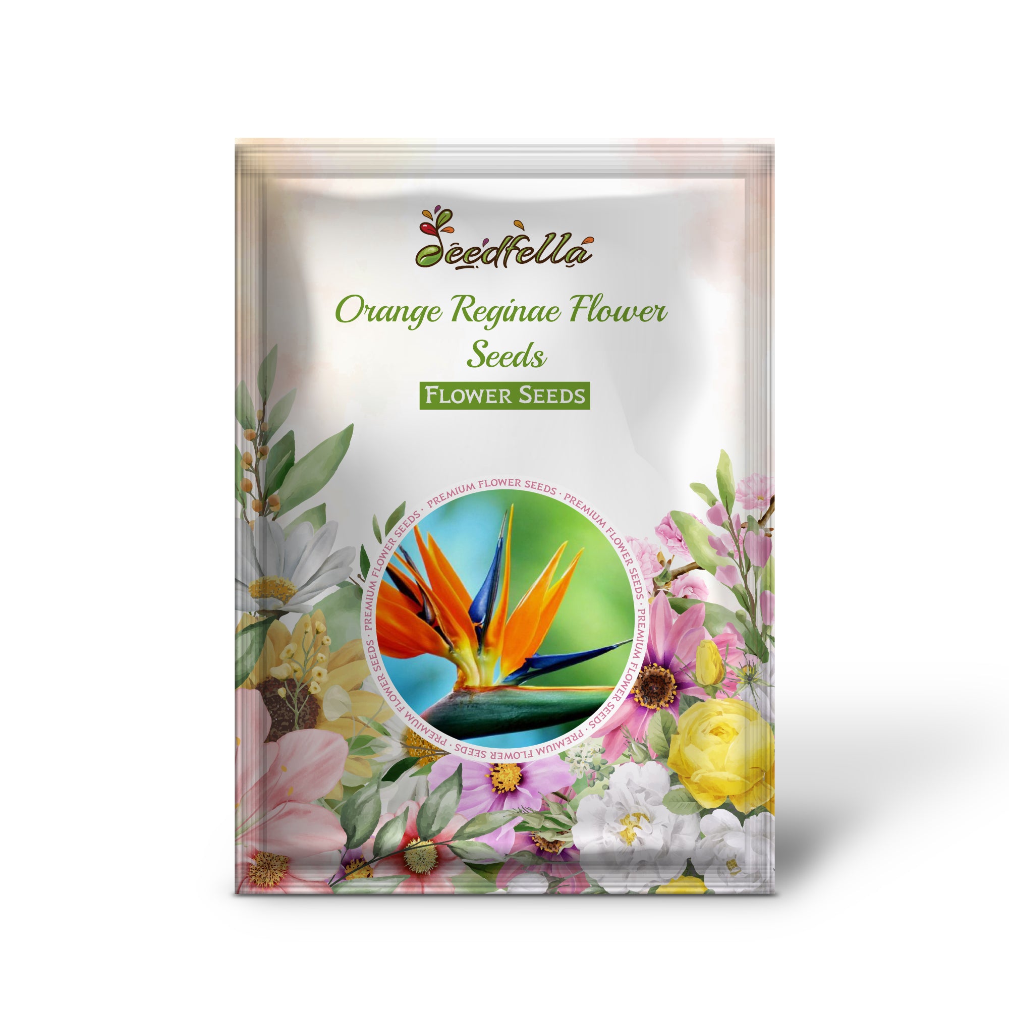 Orange Reginae flowers blooming in garden