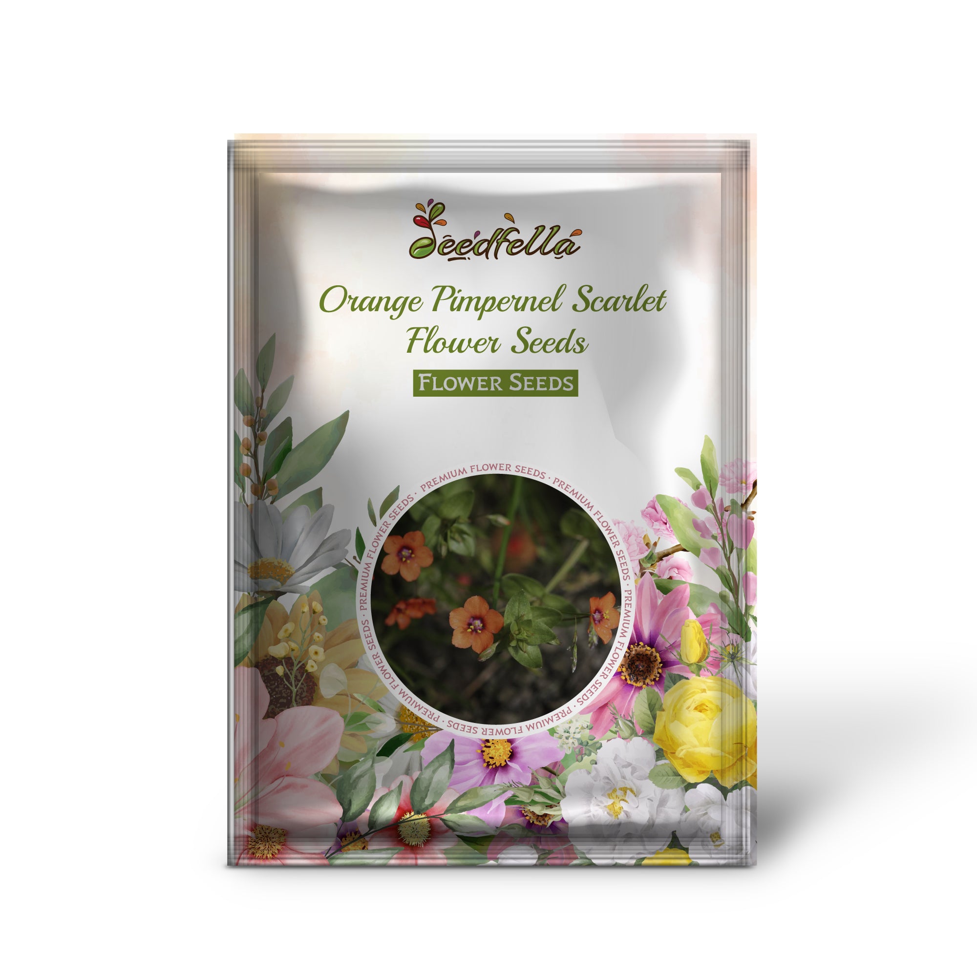 Bright orange Scarlet Pimpernel flowers in bloom