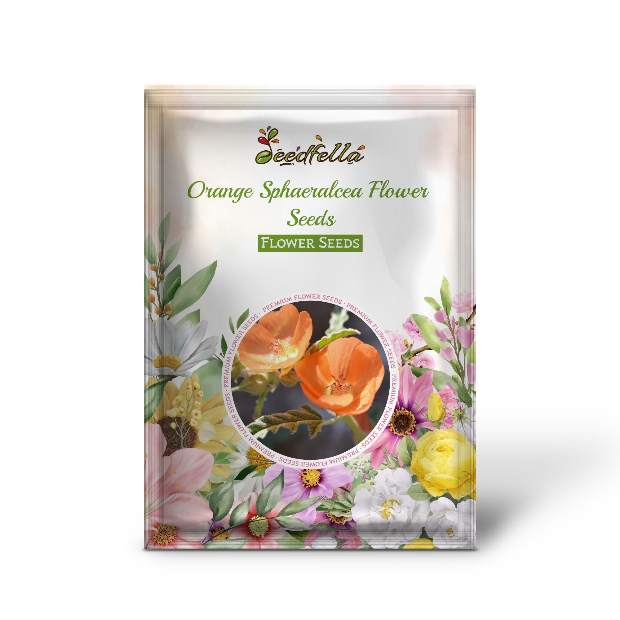 Orange Sphaeralcea Desert Mallow flowers blooming