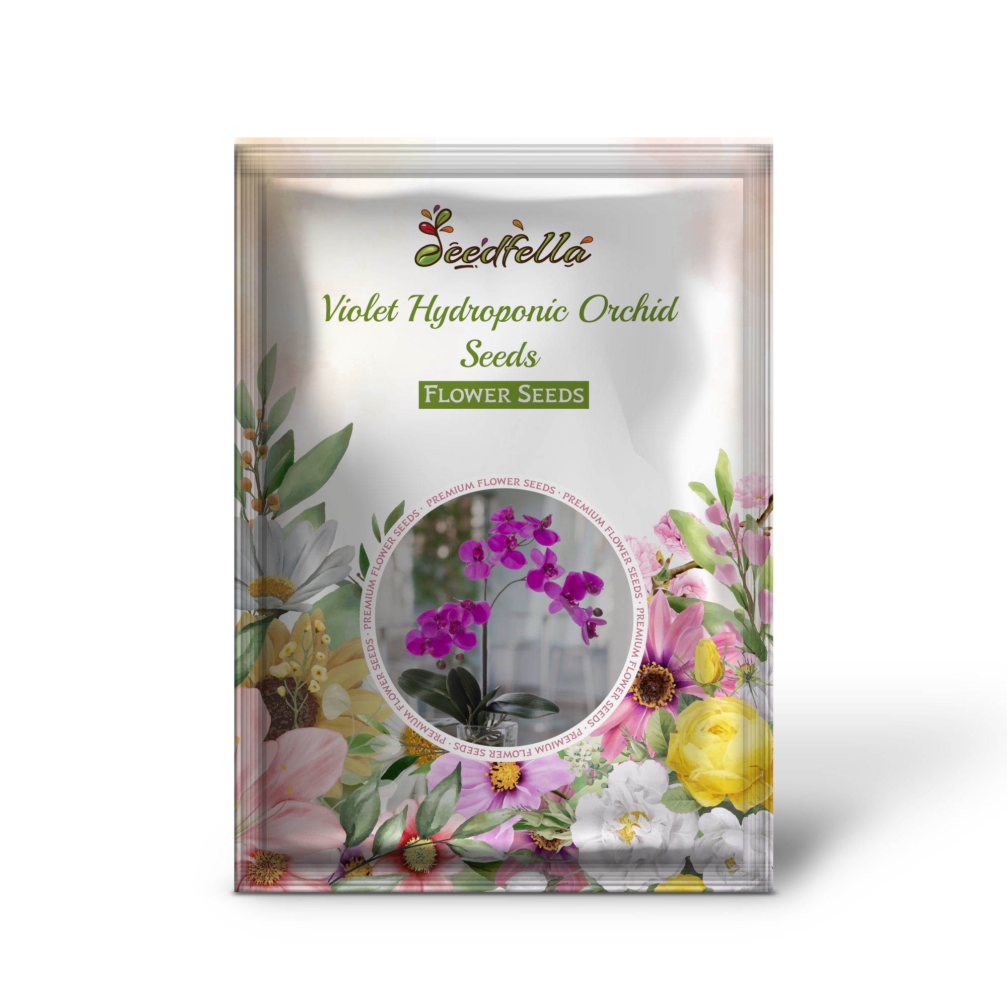 Violet orchid garden seeds for indoor planting