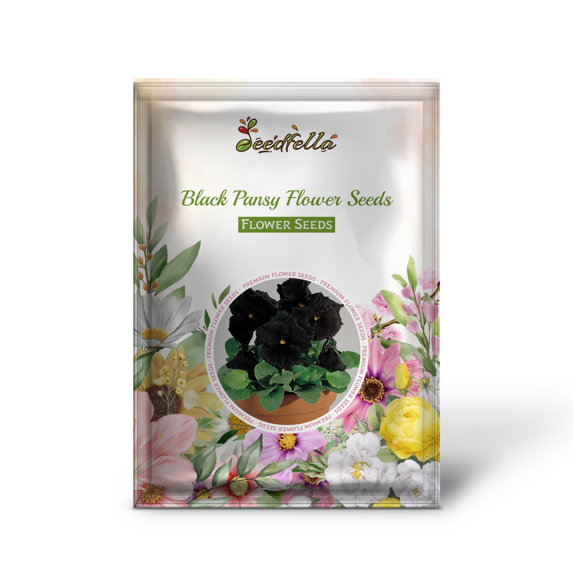 Black pansy garden seeds for outdoor planting