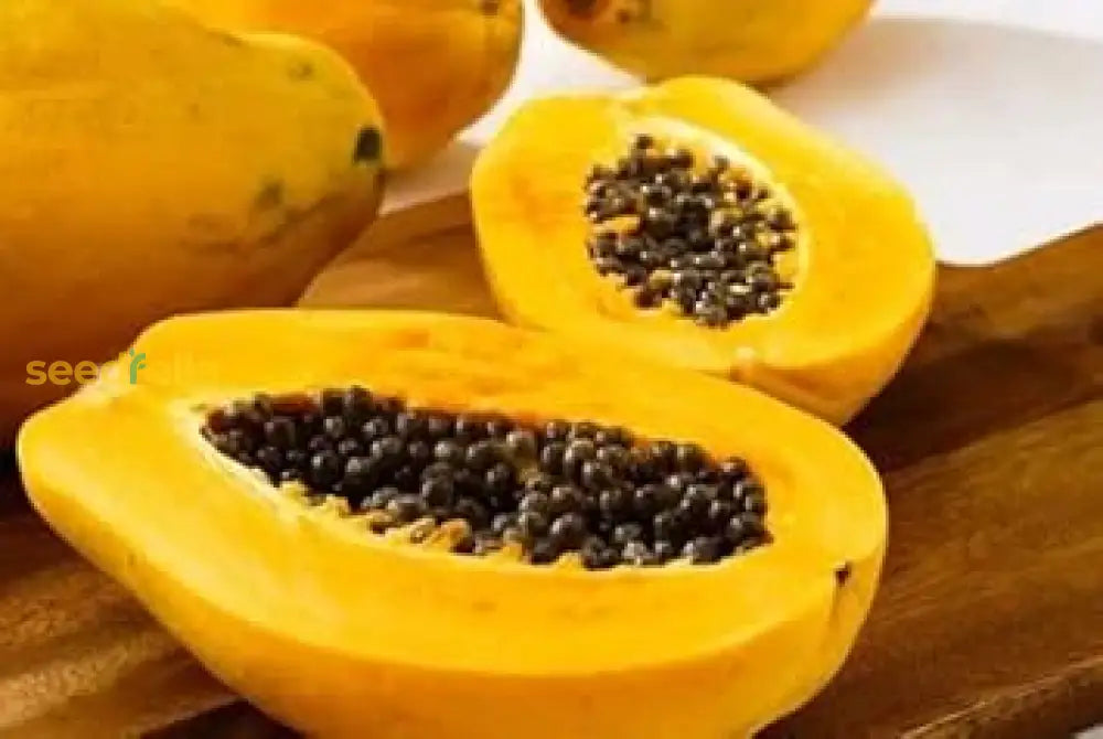 Papaya Seeds for planting and growing sweet, tropical fruits.