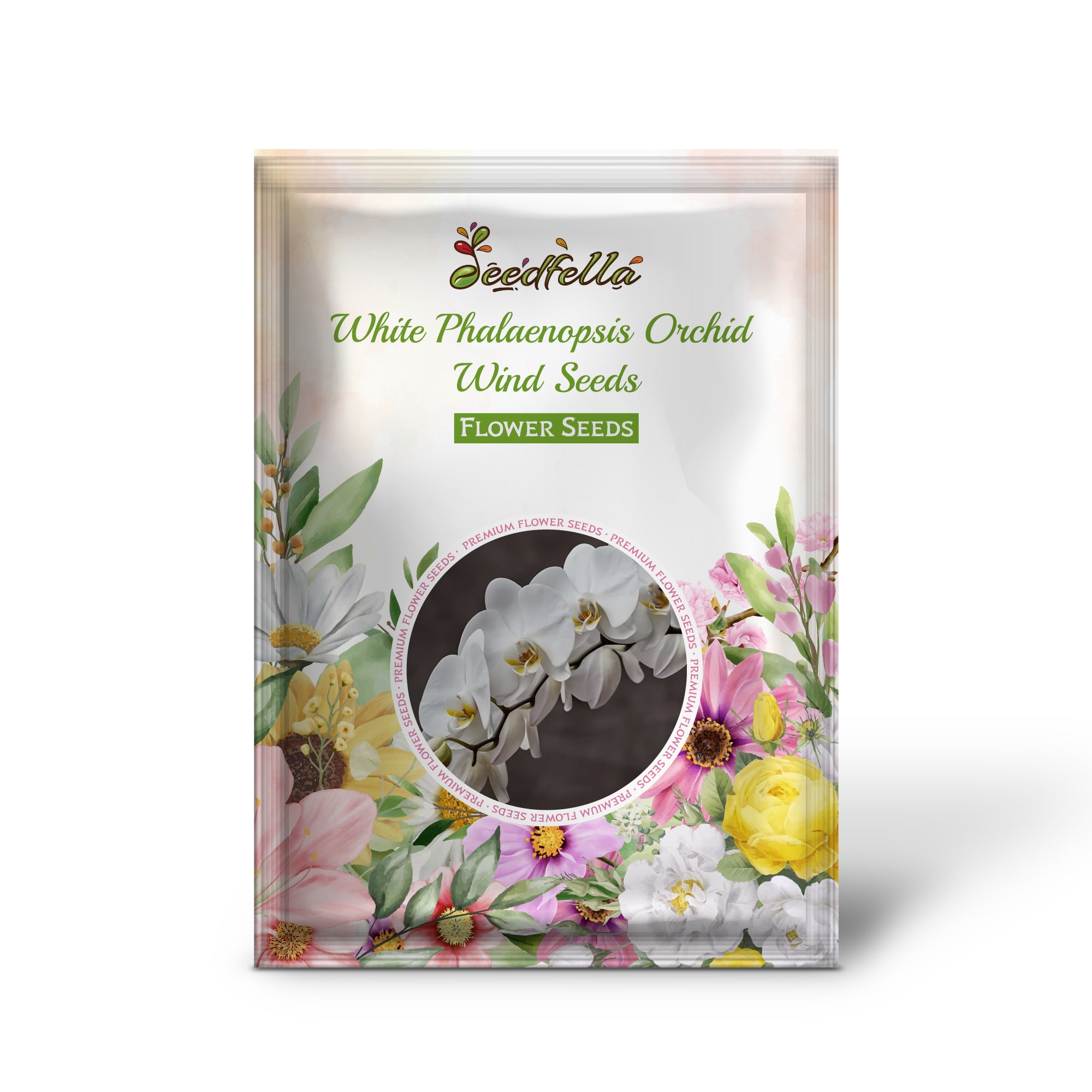 White Phalaenopsis orchid garden seeds for indoor/outdoor planting