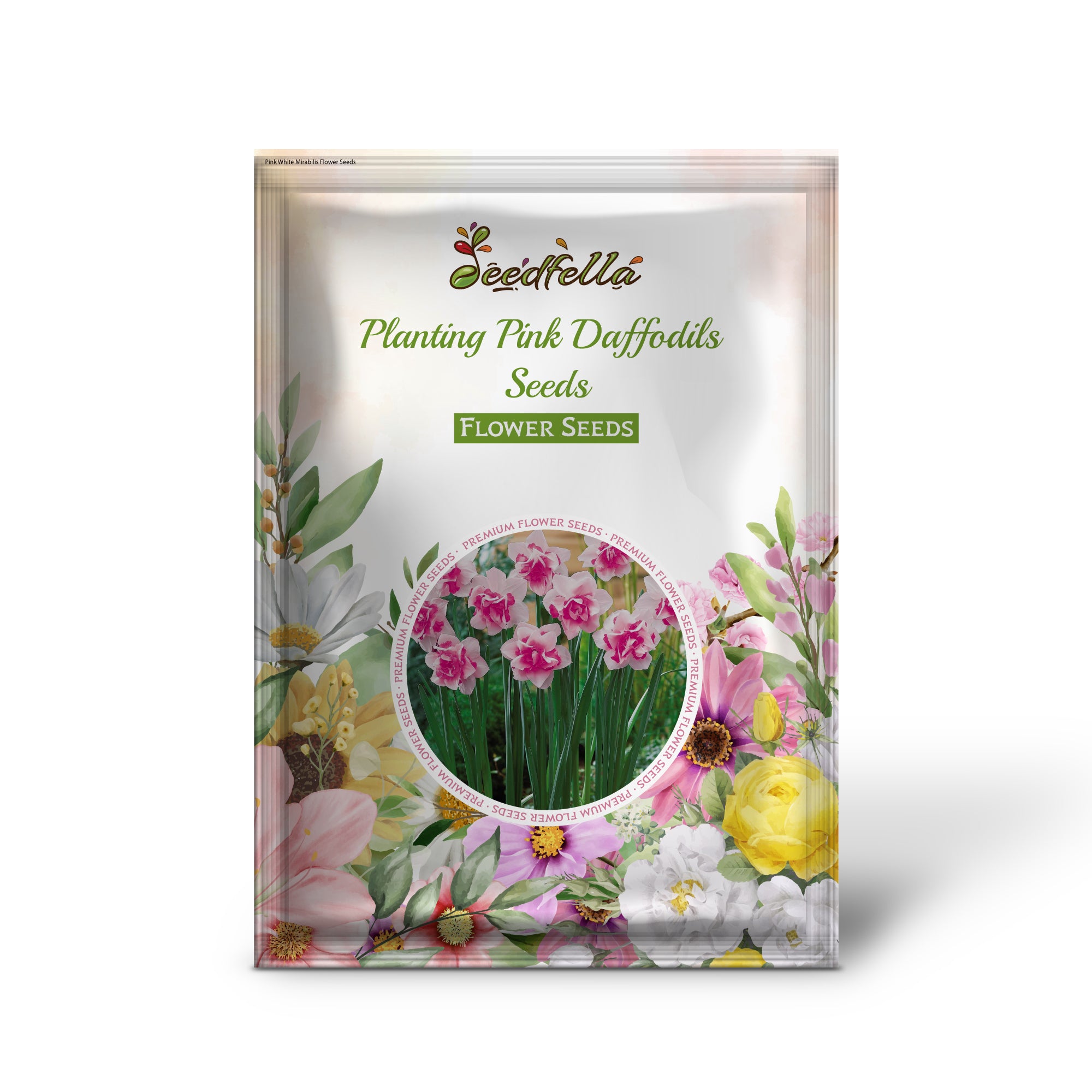 Soft pink Daffodil flowers in bloom