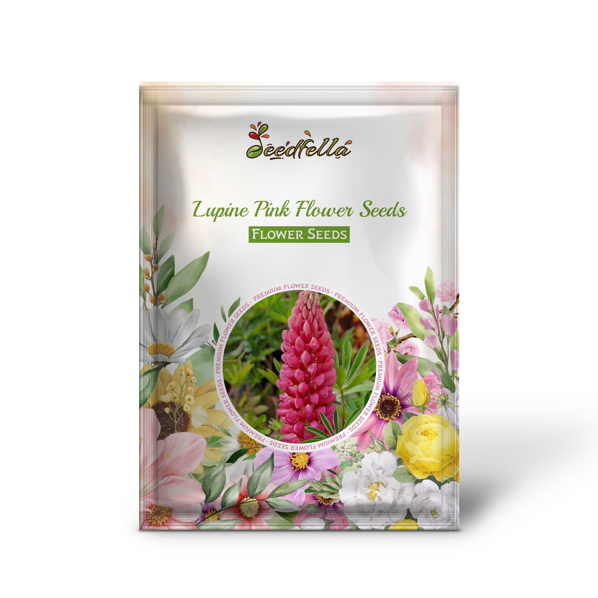 Pink Lupine flowers blooming in garden