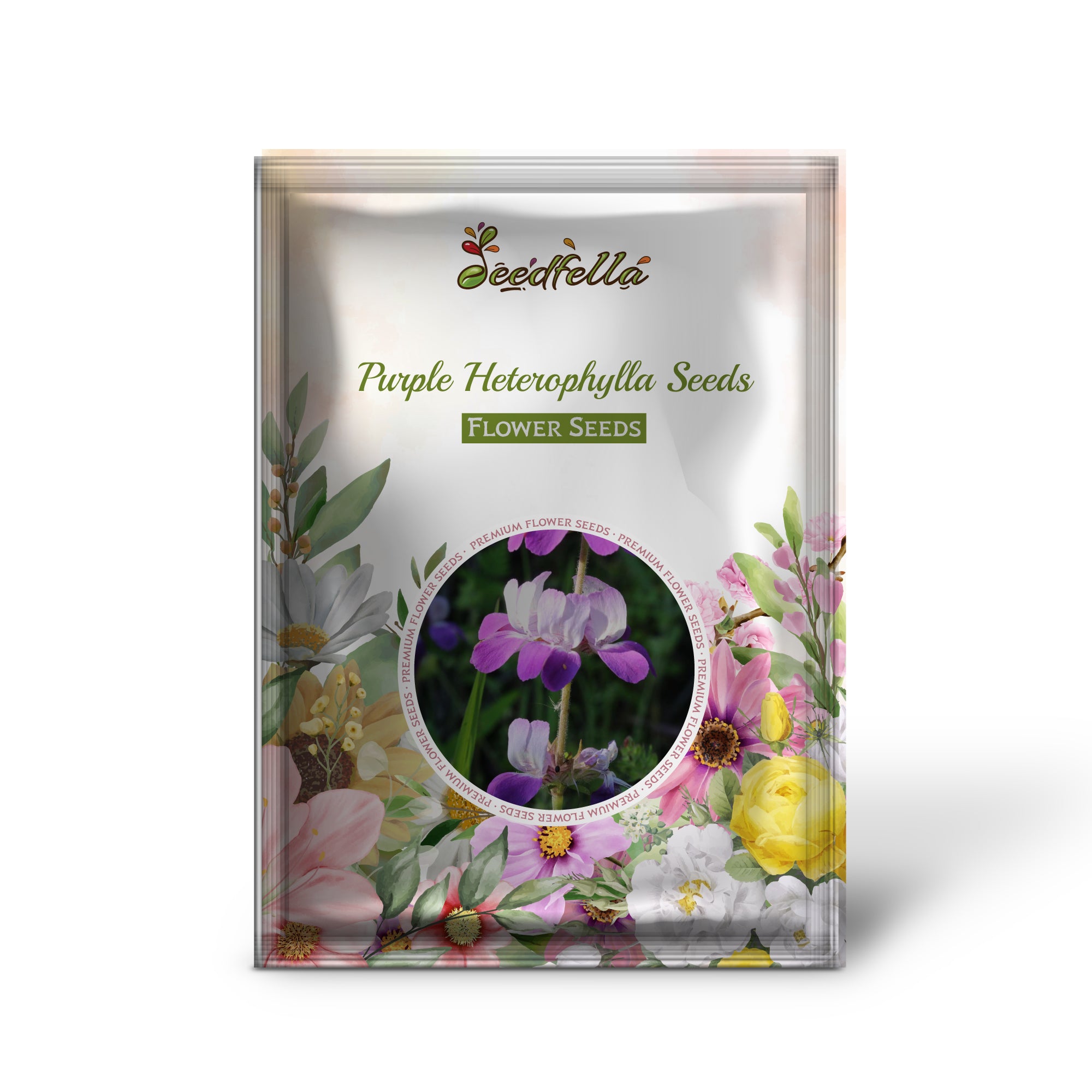 Purple Heterophylla flowers in full bloom