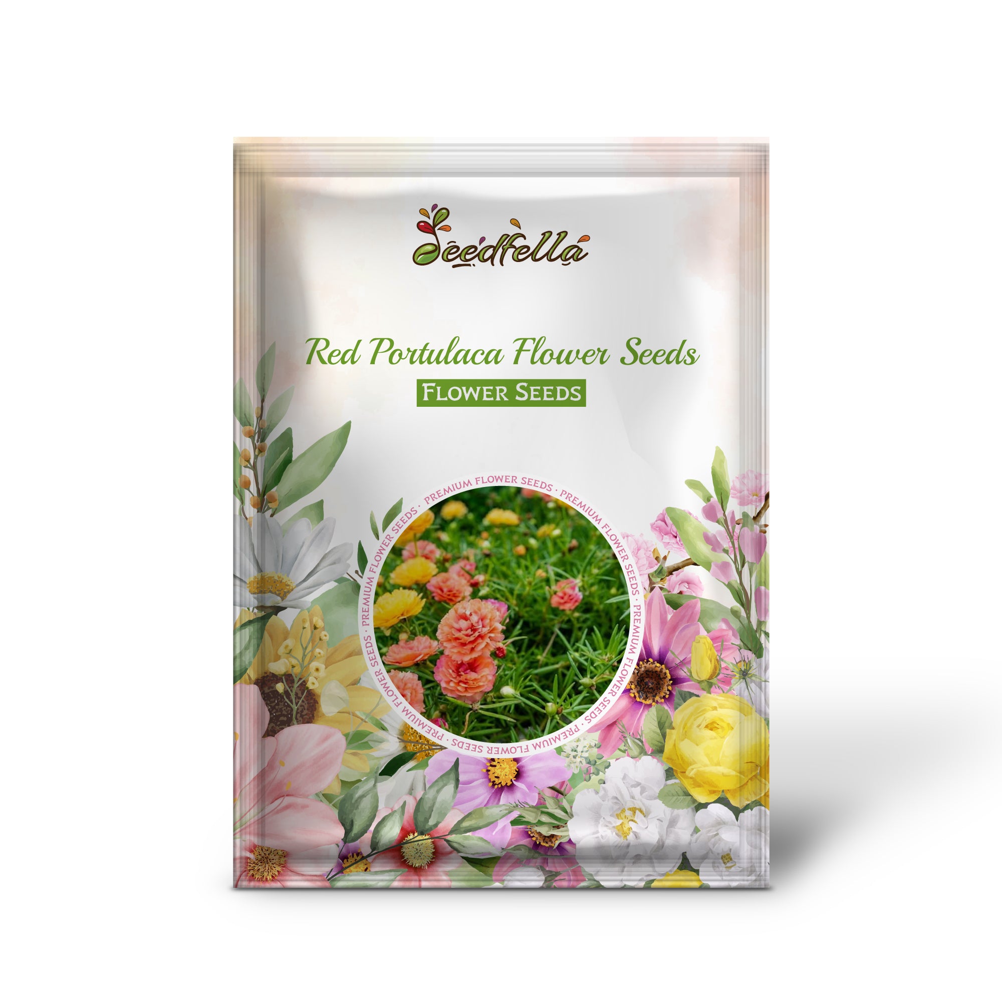 Red Portulaca Moss Rose flowers blooming