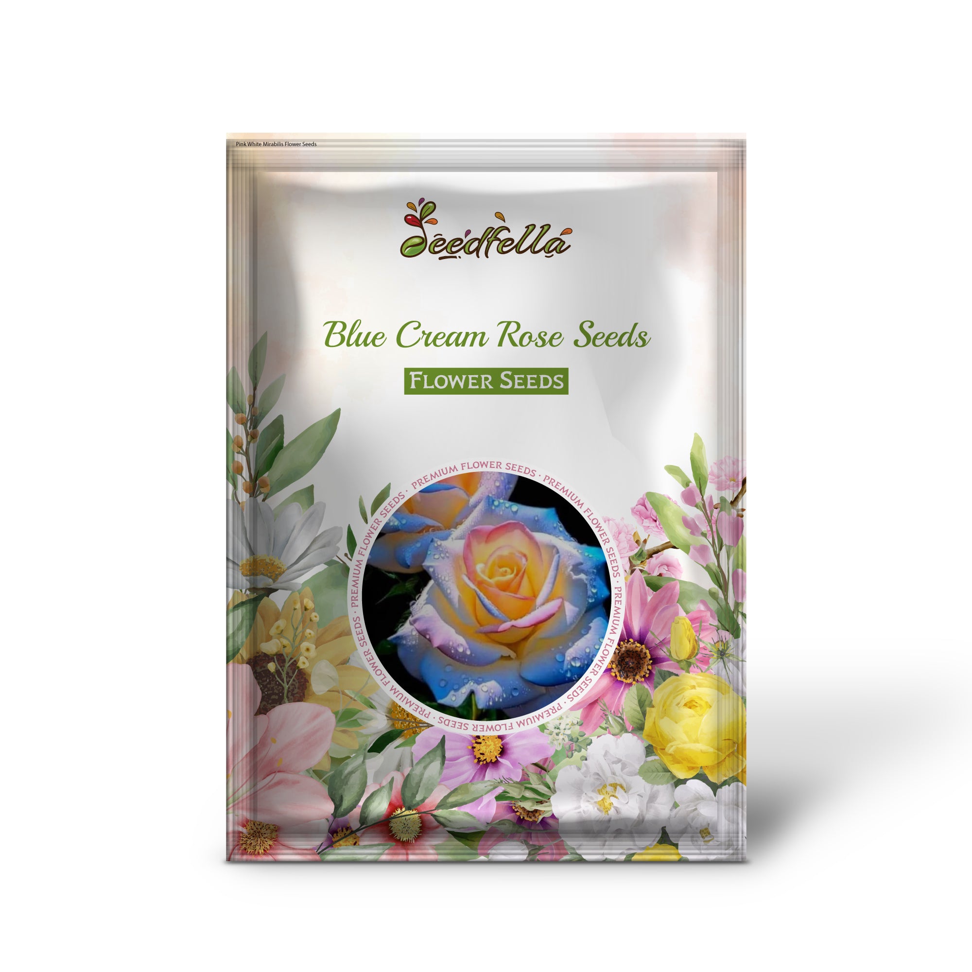 Blue Cream Rose garden seeds for outdoor planting