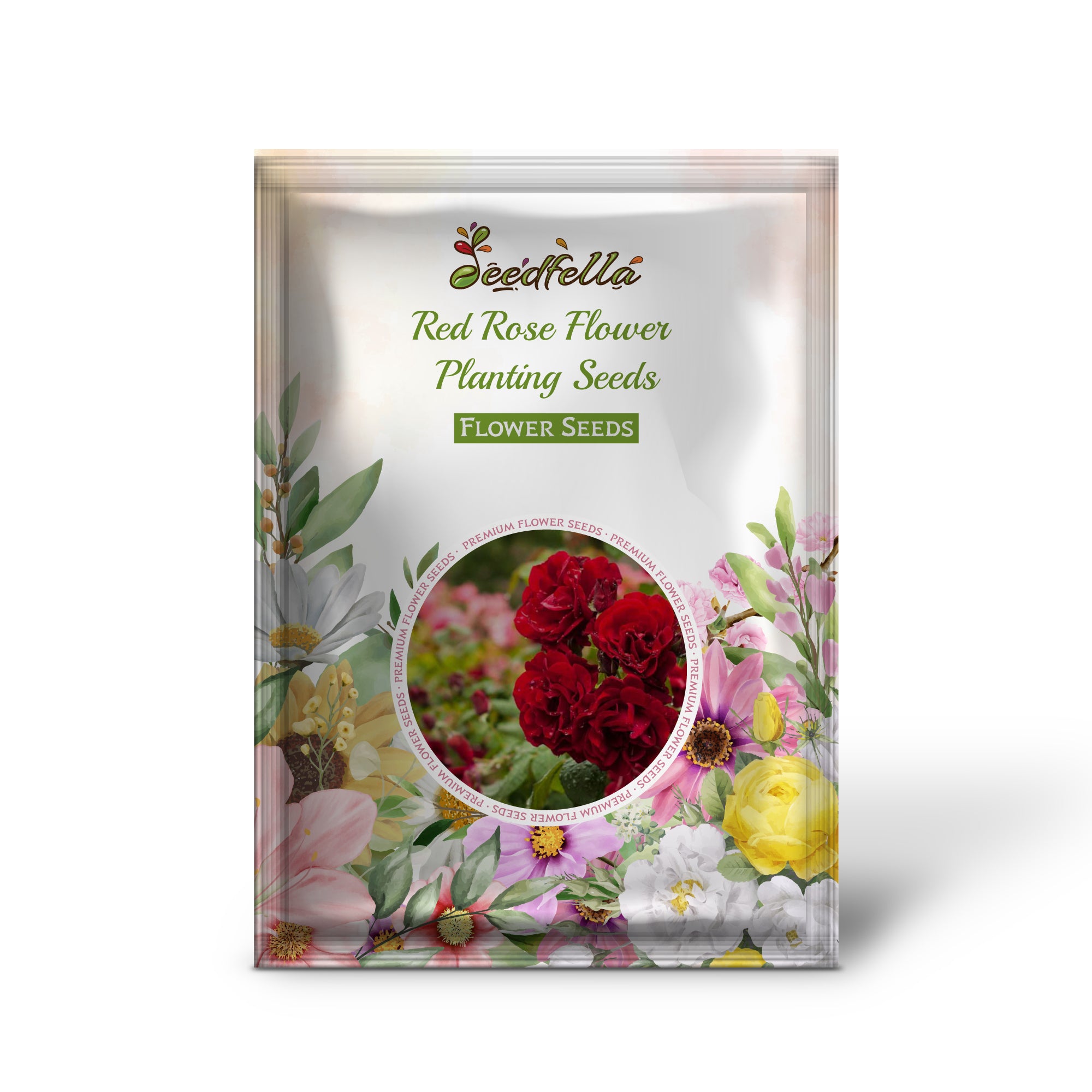 Red rose garden seeds for outdoor planting