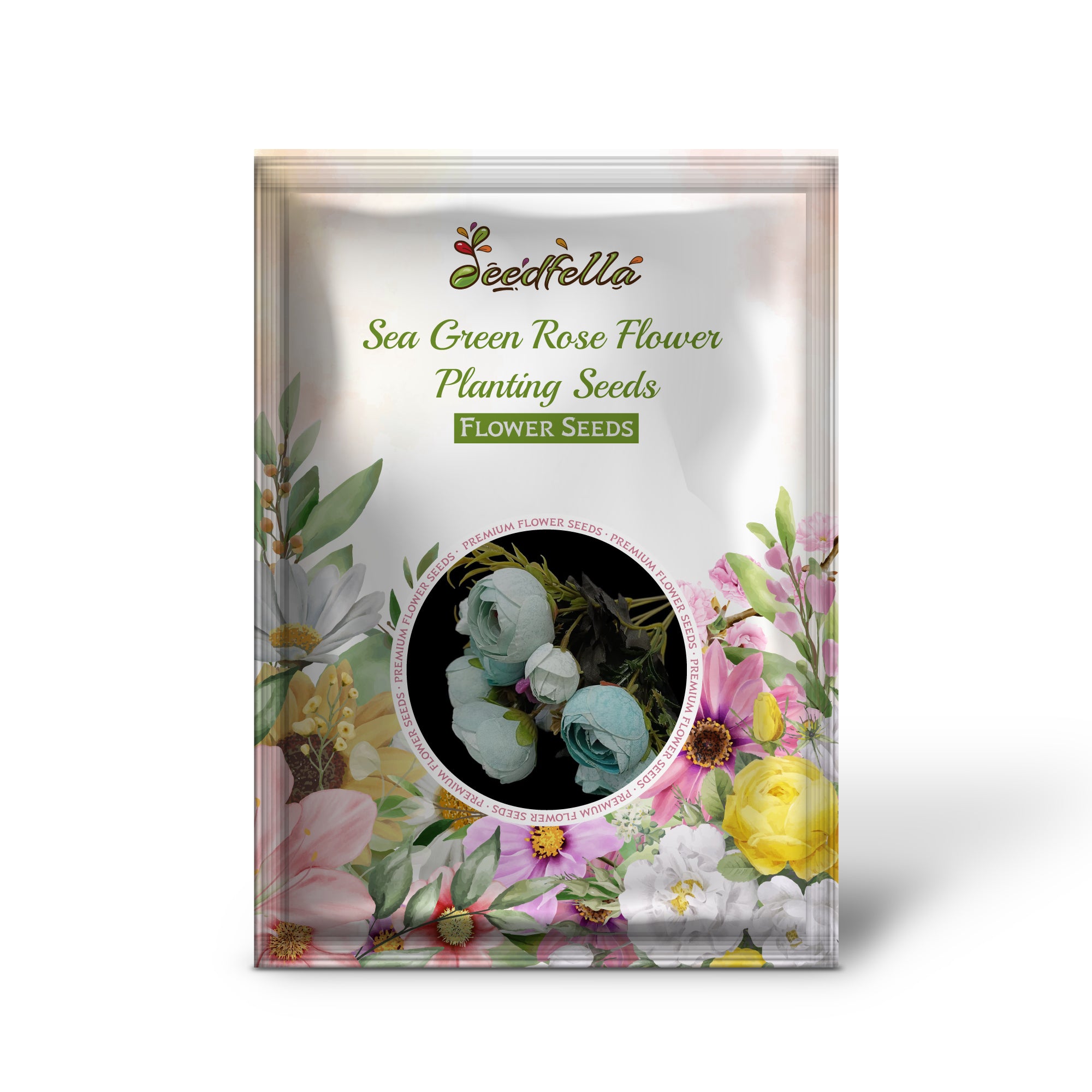 Sea green rose garden seeds for outdoor planting