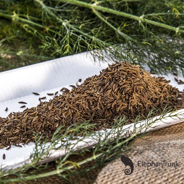 Caraway herb seeds for flavorful culinary use