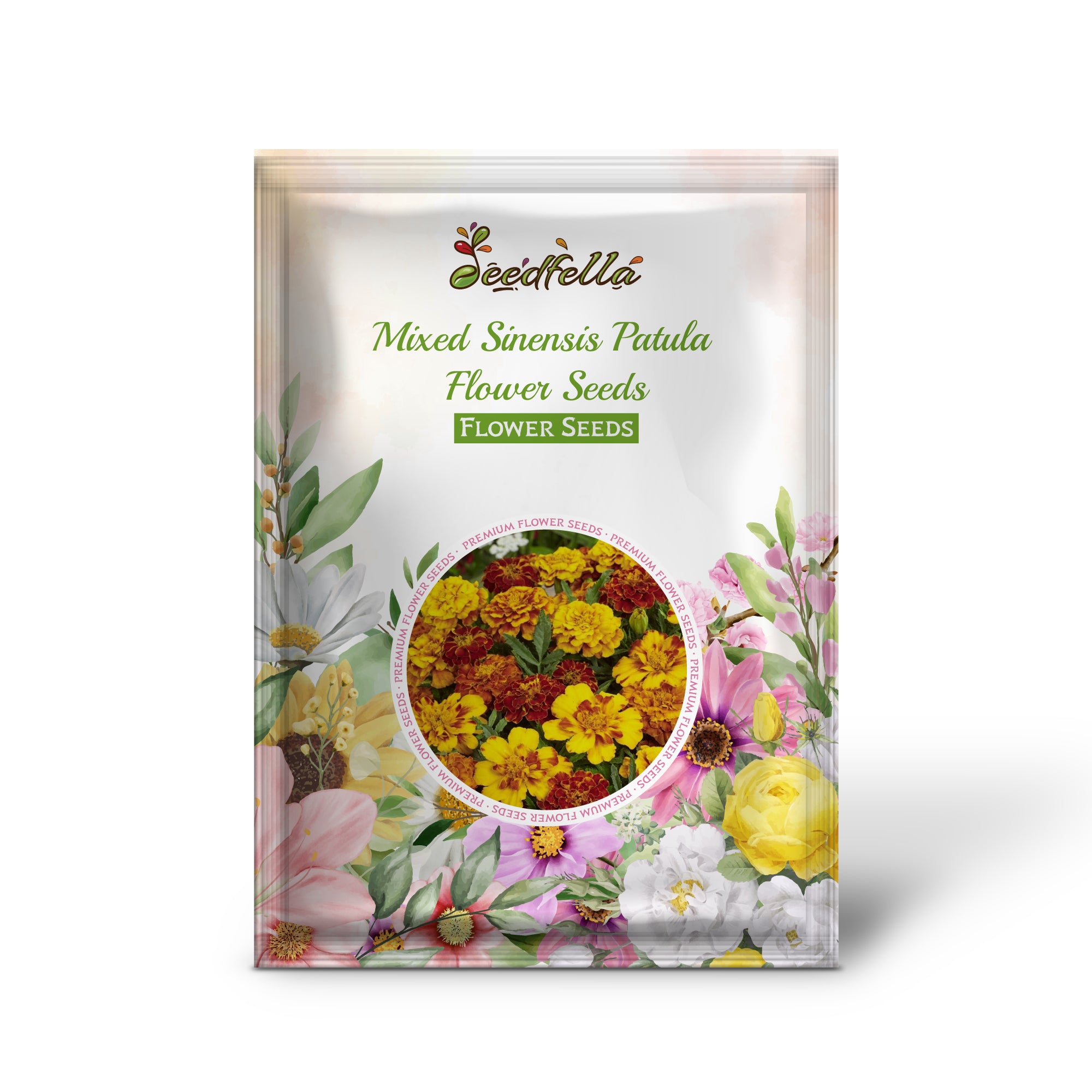 Mixed Sinensis Patula garden seeds for outdoor planting