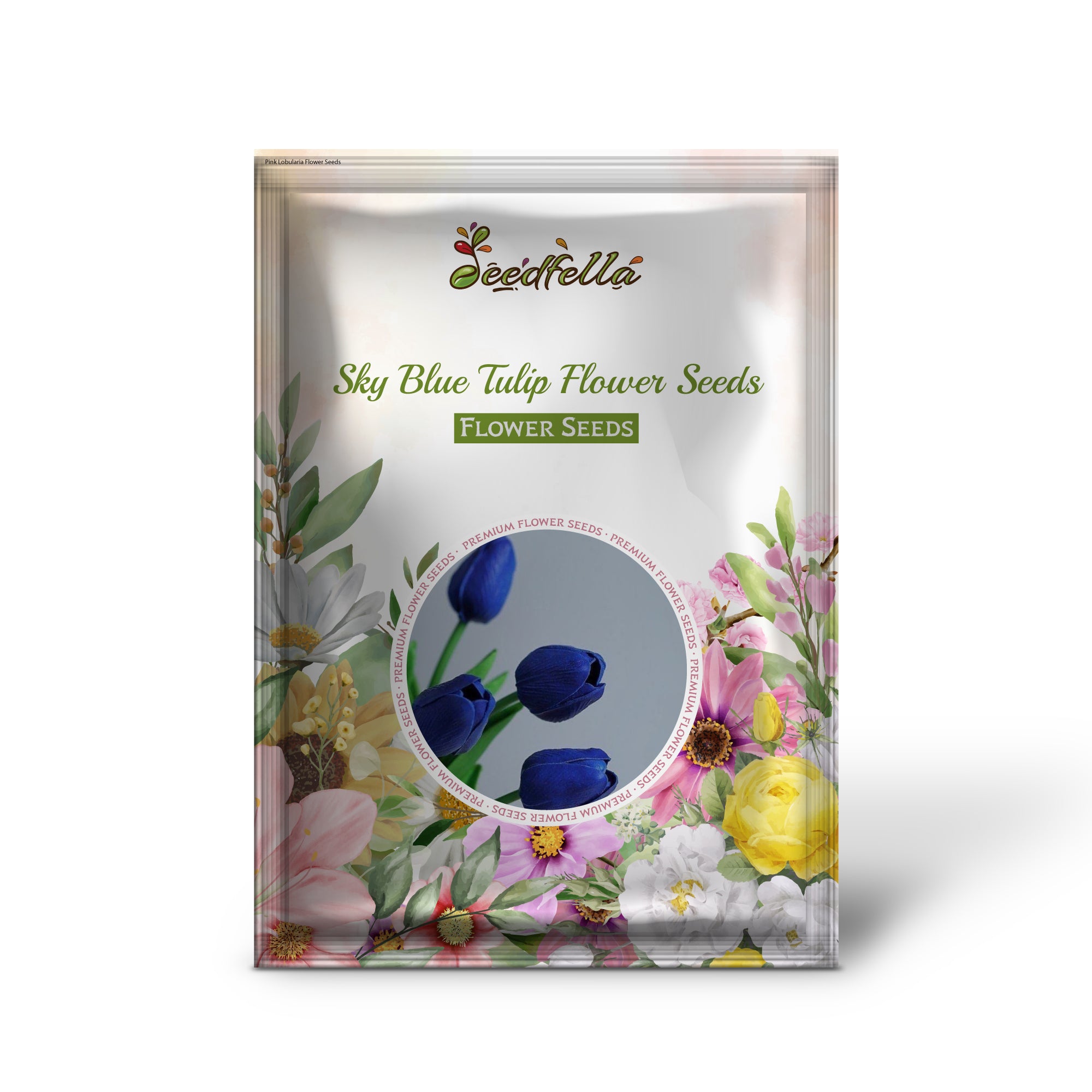 Sky Blue tulip garden seeds for spring planting