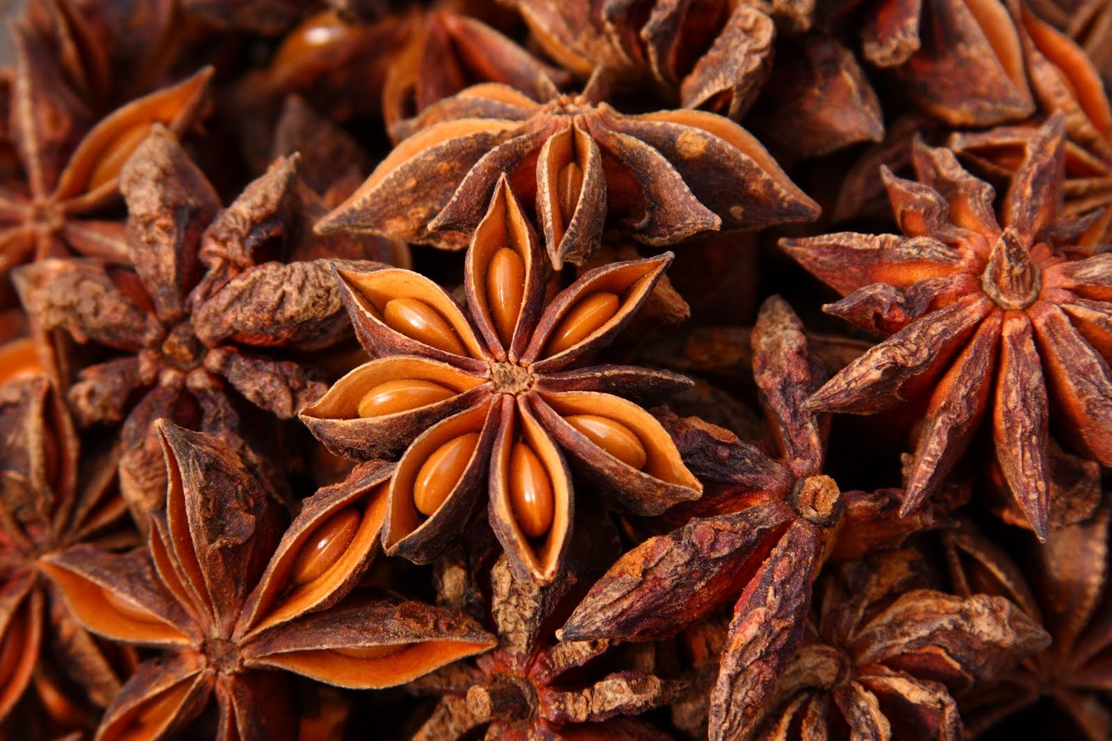 Non-GMO Star Anise seeds