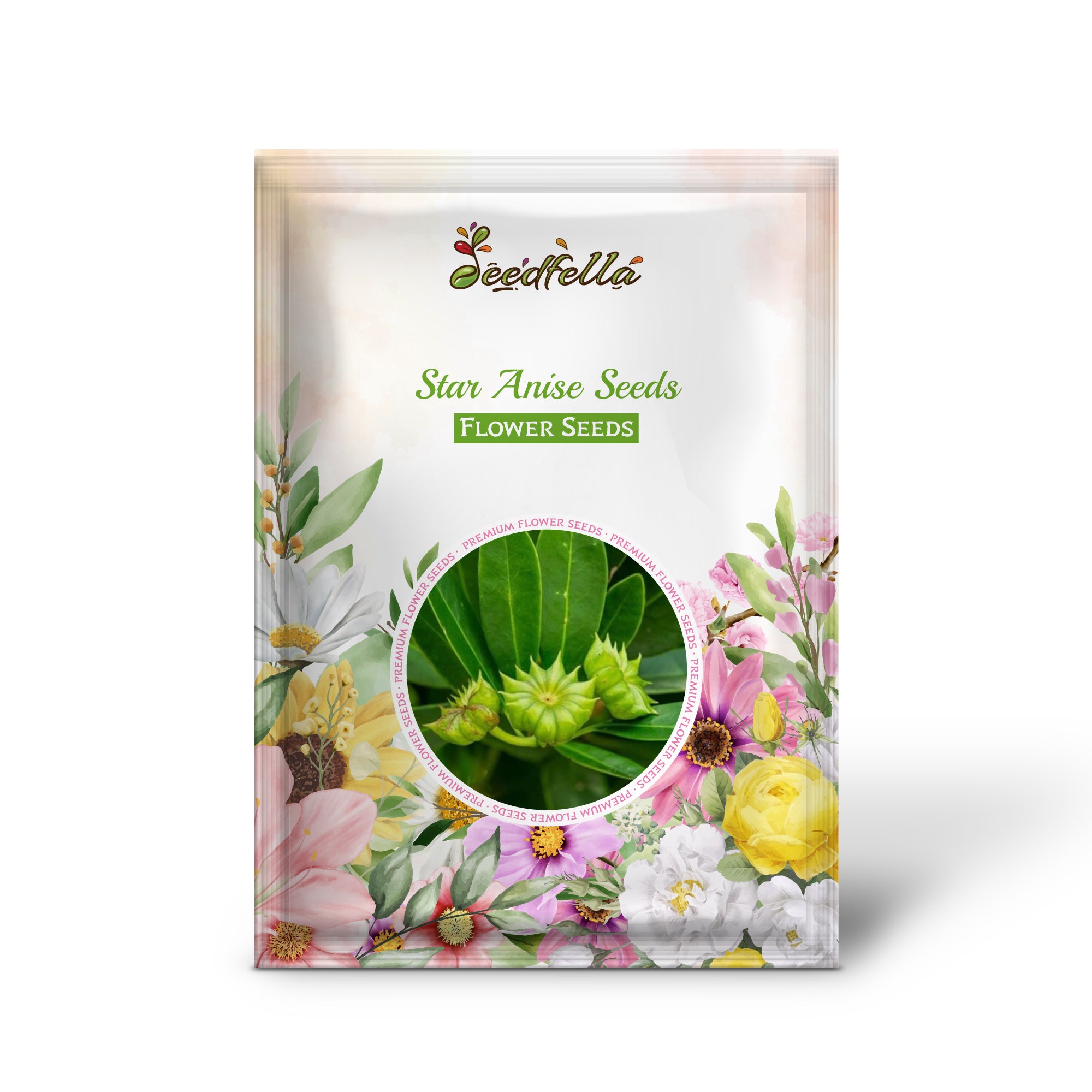 Star Anise herb plant growing in garden