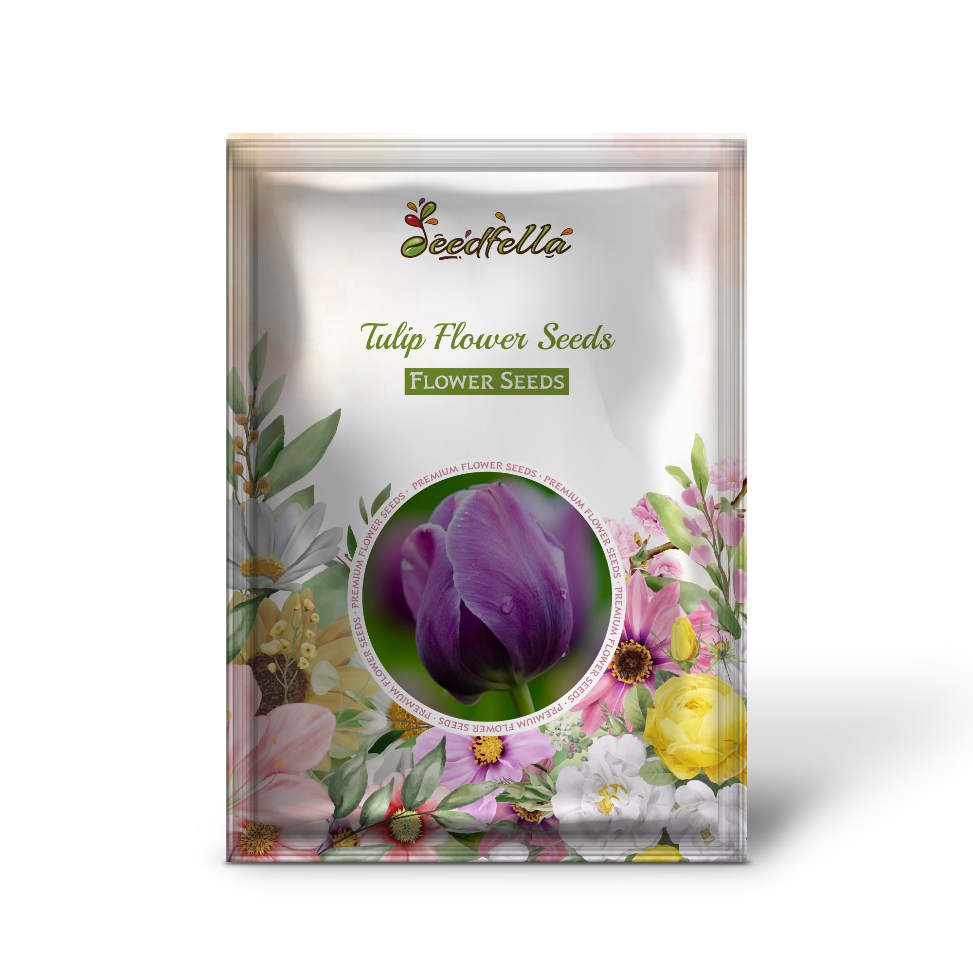 Tulip collection garden seeds for spring planting