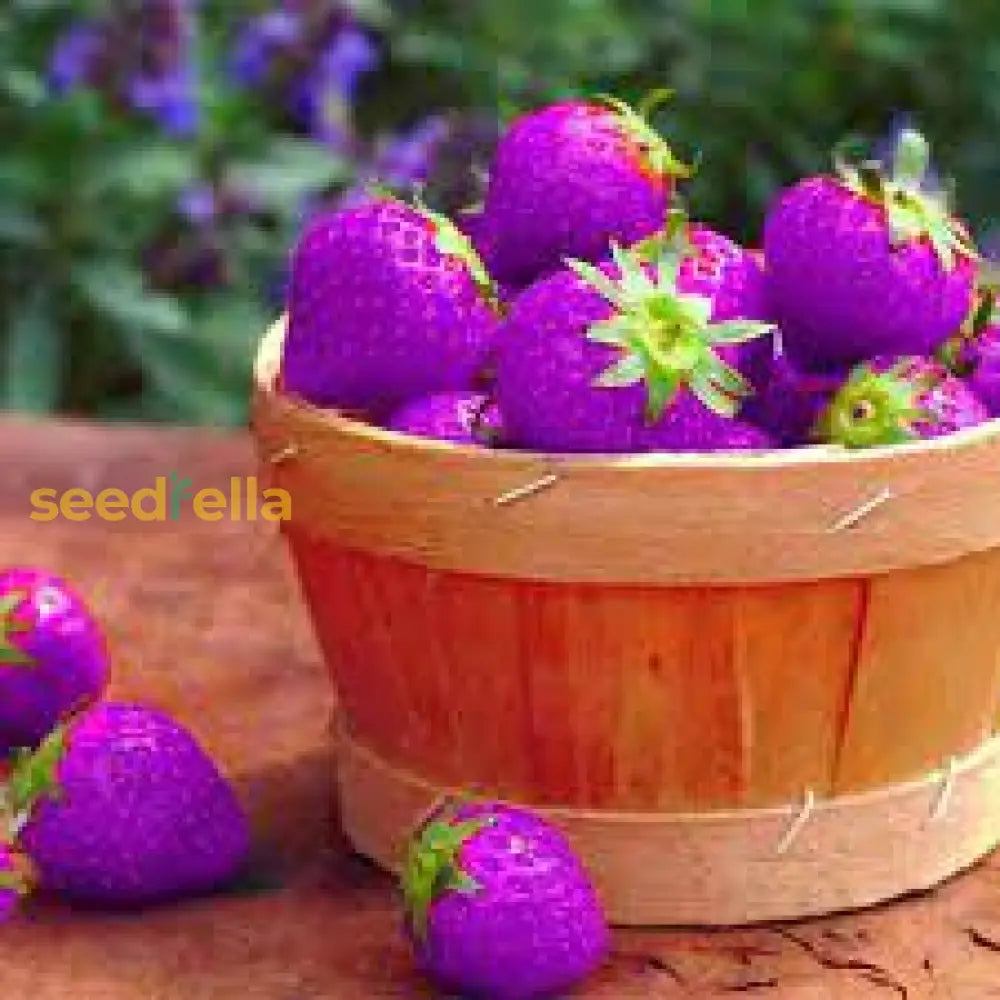 Plant Purple Strawberry Seeds for a unique, colorful fruit in your garden.