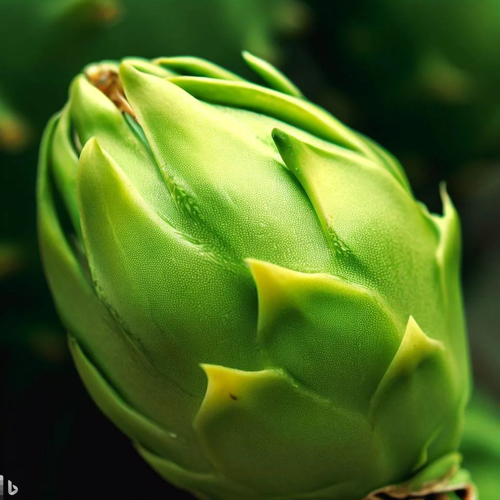 Pitaya Fruit Seeds - Easy To Grow Parrot Green For Unique And Adventurous Gardens