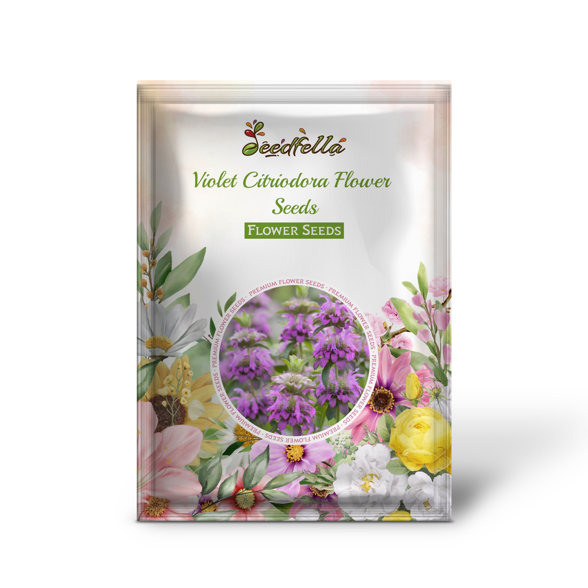 Violet Citriodora flowers blooming in garden