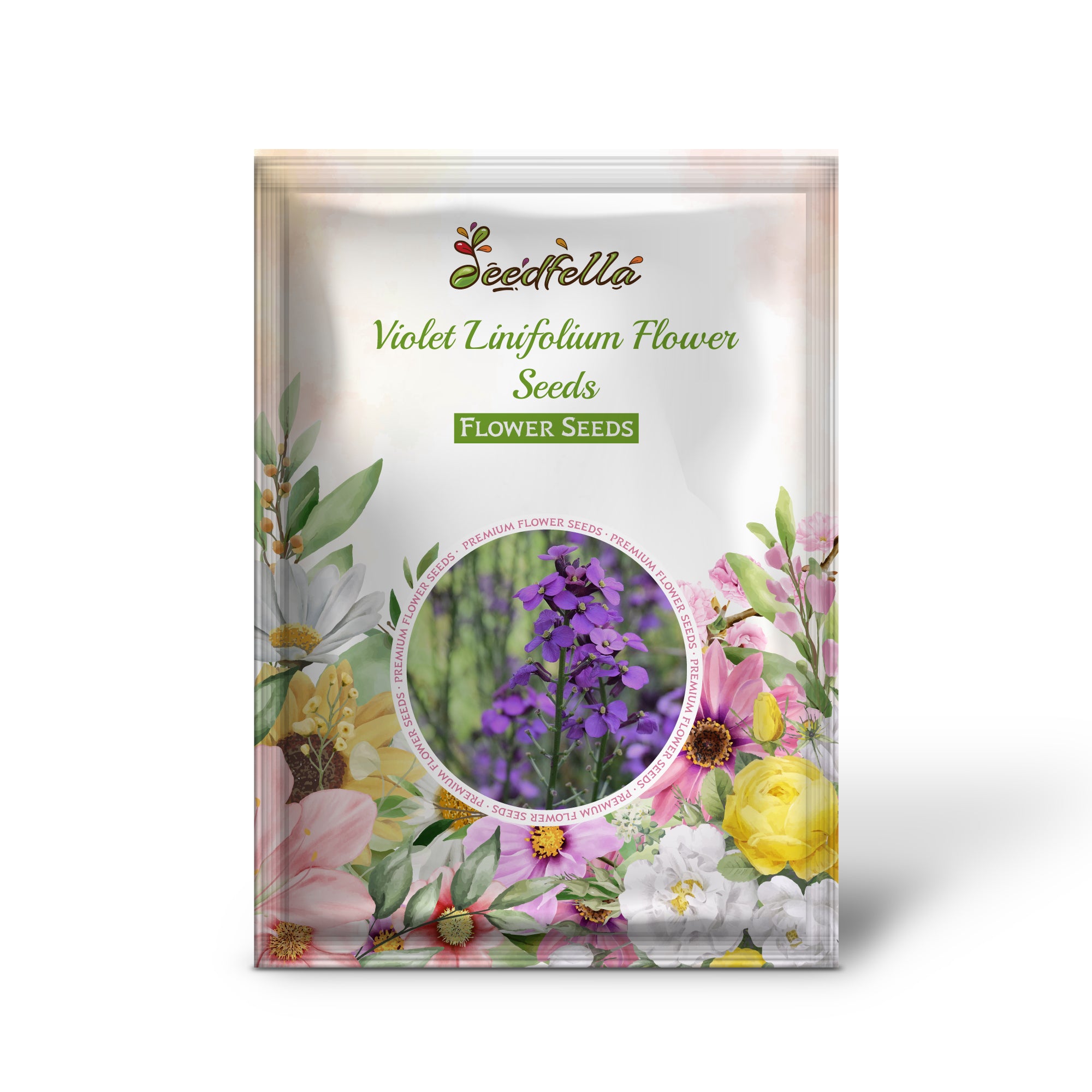 Violet Linifolium flowers blooming in garden