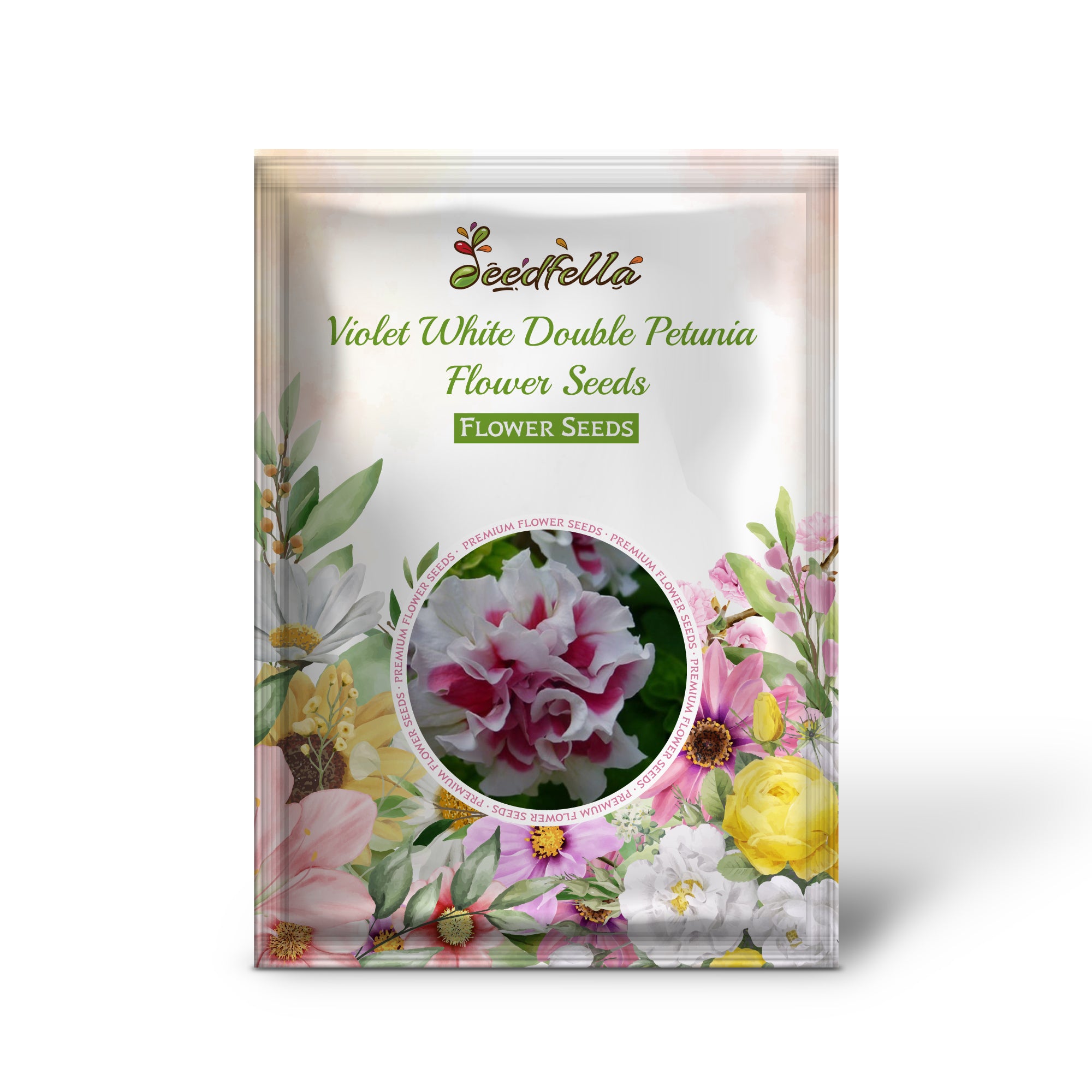 Violet White Double Petunia flowers blooming in garden