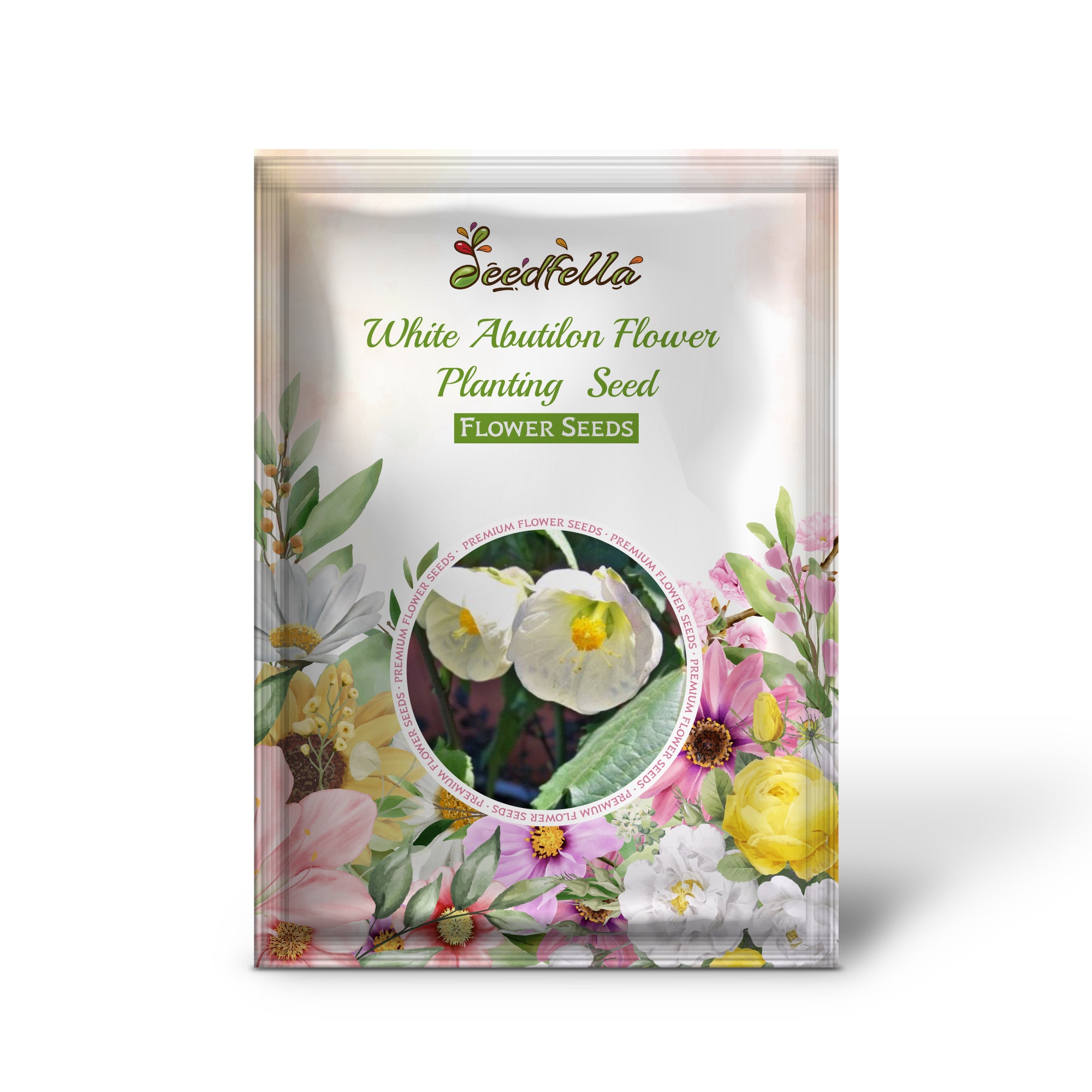 White Abutilon flowers blooming in garden