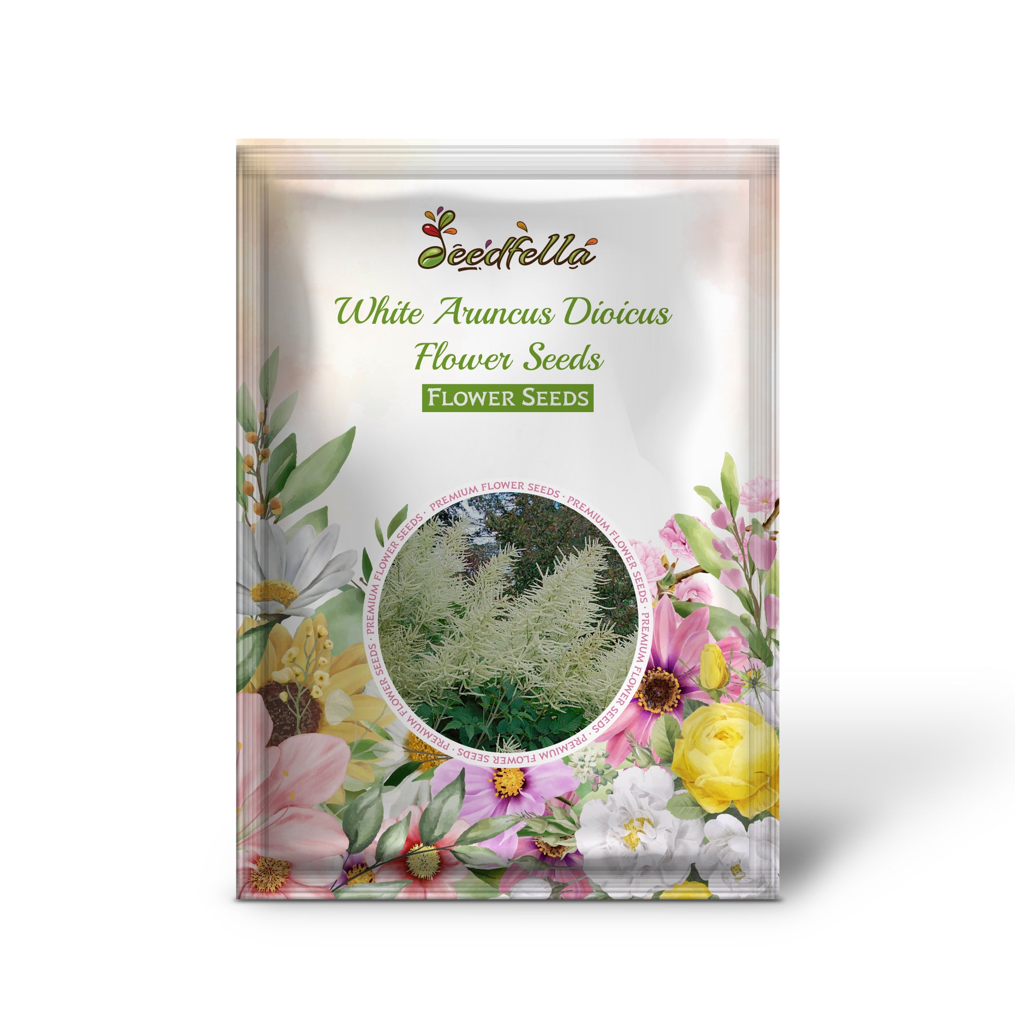 White Aruncus Dioicus flowers blooming in garden