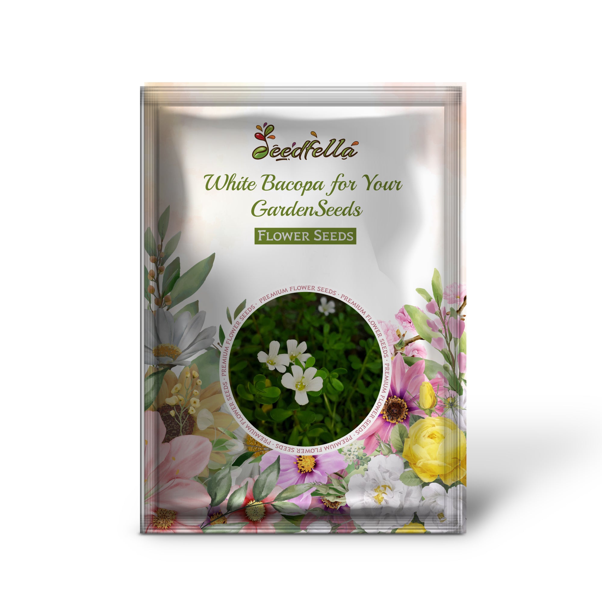 White Bacopa flowers in full bloom