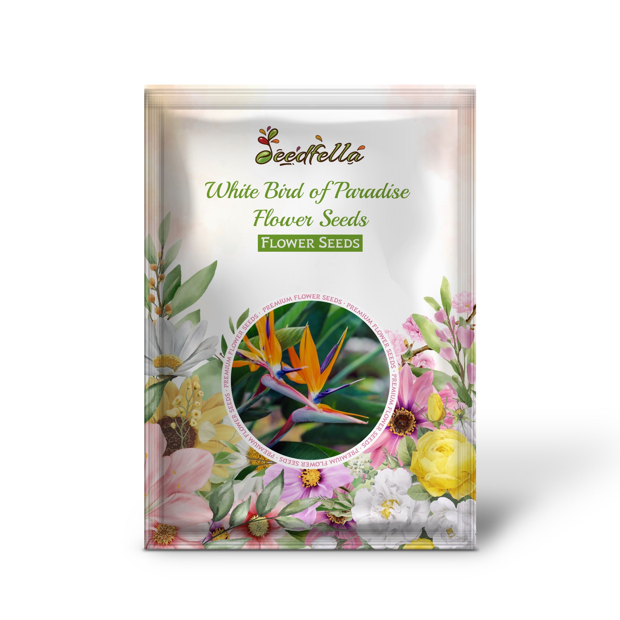 White Bird of Paradise flowers blooming in garden