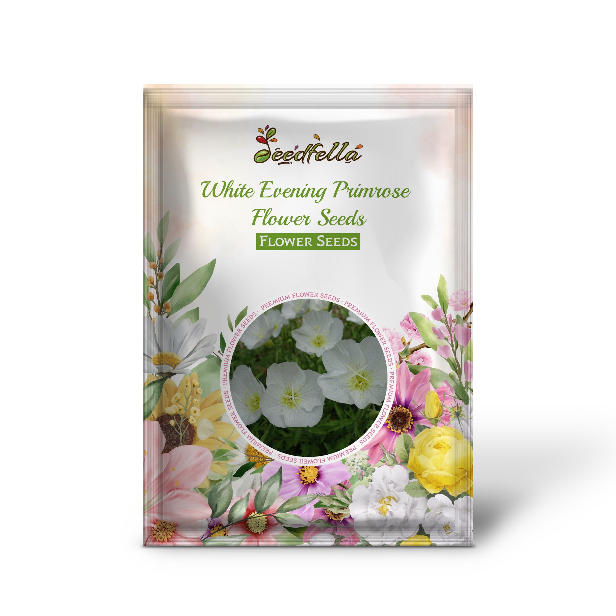 White Evening Primrose flowers blooming in garden